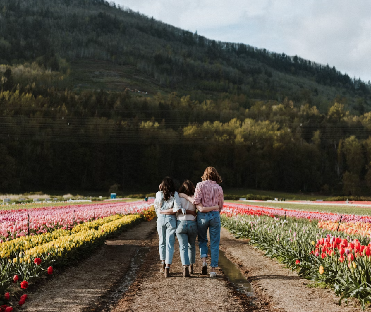 The Importance of Friendship