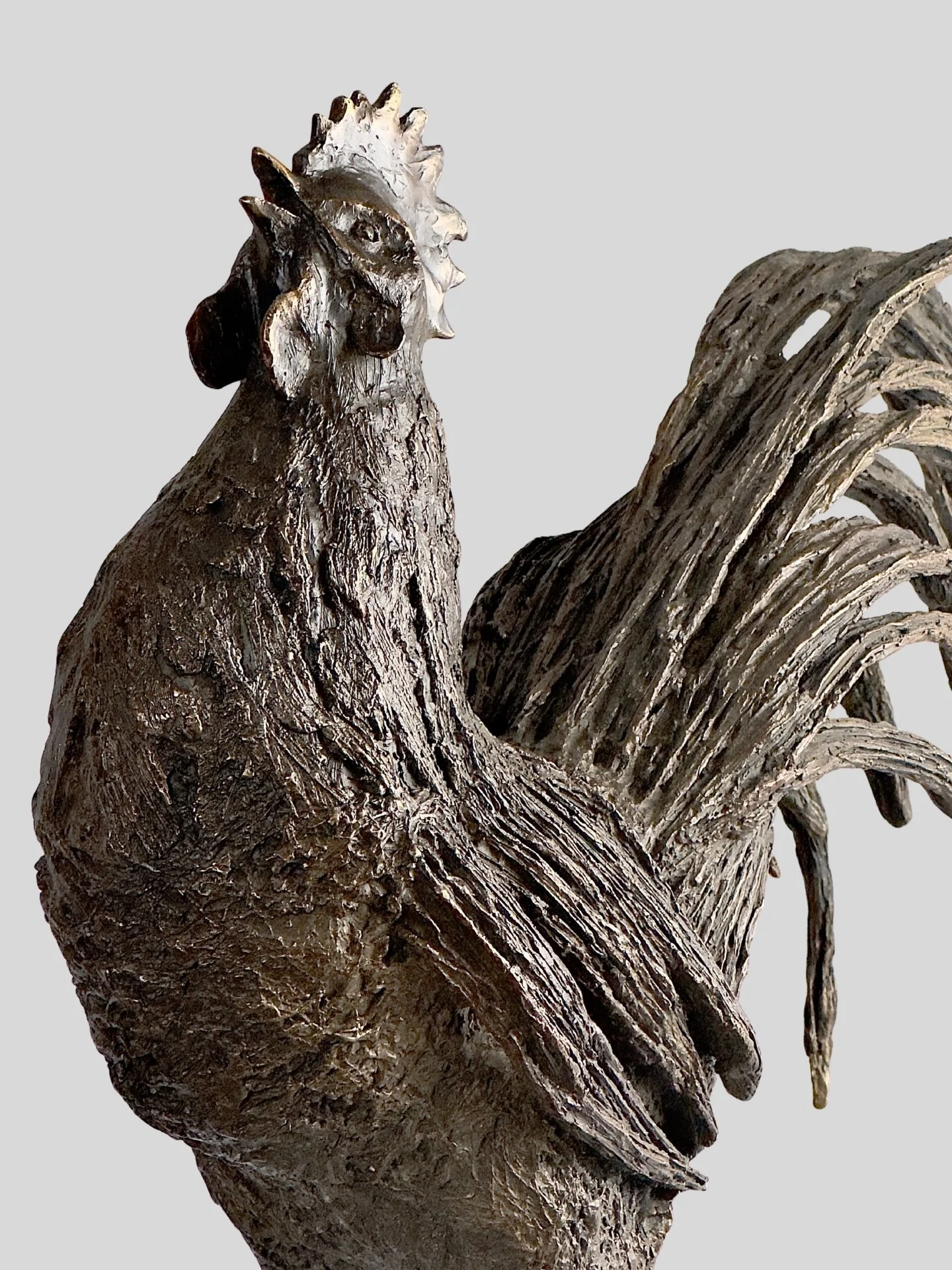 &laquo;&nbsp;Rise up&nbsp;&raquo; 
Moul&eacute; &agrave; partir de branches de gen&ecirc;ts qui forment la texture du corps et des plumes , le bronze garde l&rsquo;empreinte du v&eacute;g&eacute;tal permettant un dialogue entre le monde animal et la 