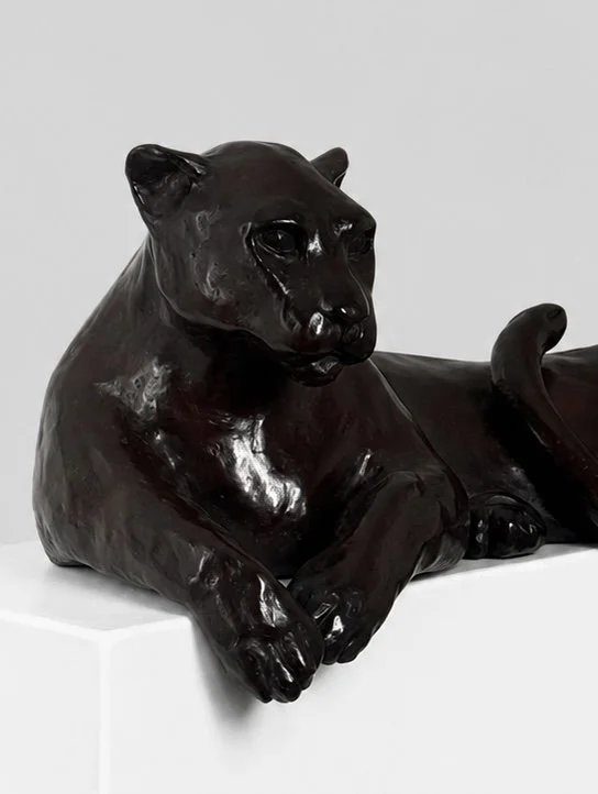 sitting.panther.jpg