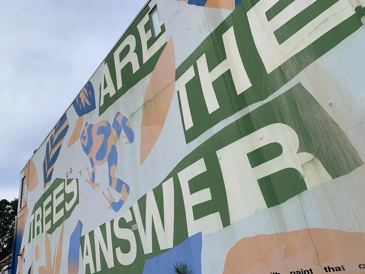 #treesaretheanswer #woollomooloo #sydneystreetart