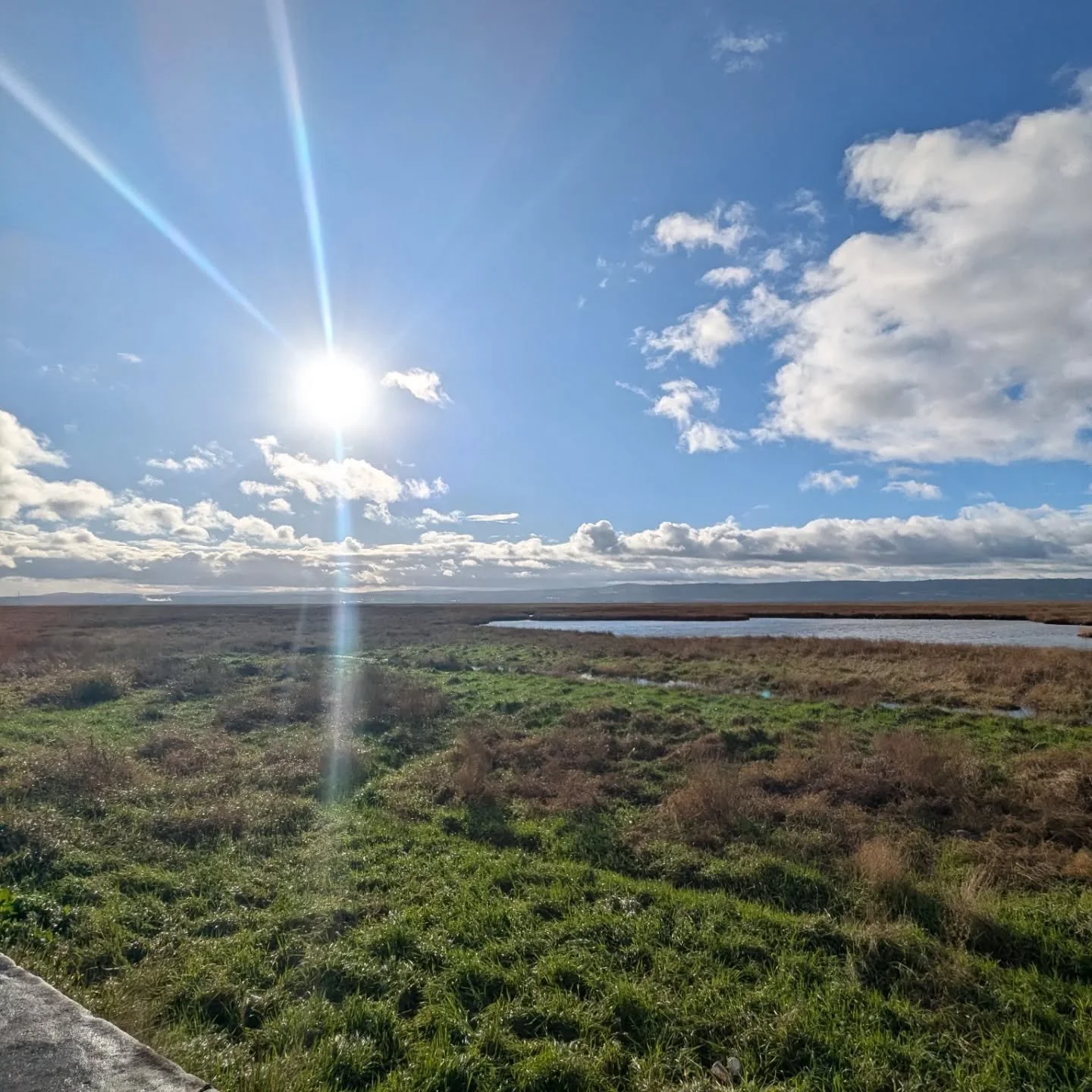 Just had a lovely walk around Neston and Parkgate dropping off flyers at the wonderful local businesses for my yoga class (thank you @elephant____coffee @costacoffeeneston @paisley_grey_neston @thebluebicycle_ )

My classes are every Wednesday at 6pm