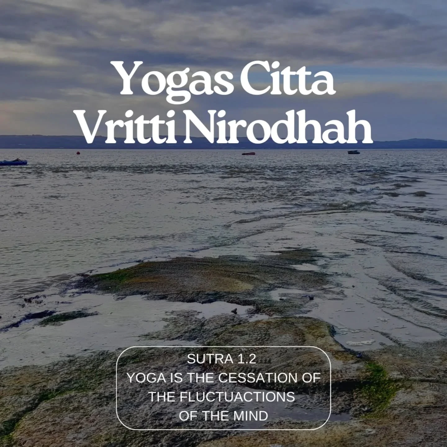 This week's class theme: Yogas Citta Vritti Nirodhah, Sutra 1.2.

This can translate to: yoga is the cessation (or slowing) of the fluctuations of the mind.

As I like to refer to it: yoga helps slow down my 'hamster wheel of a mind'.

We all have bu