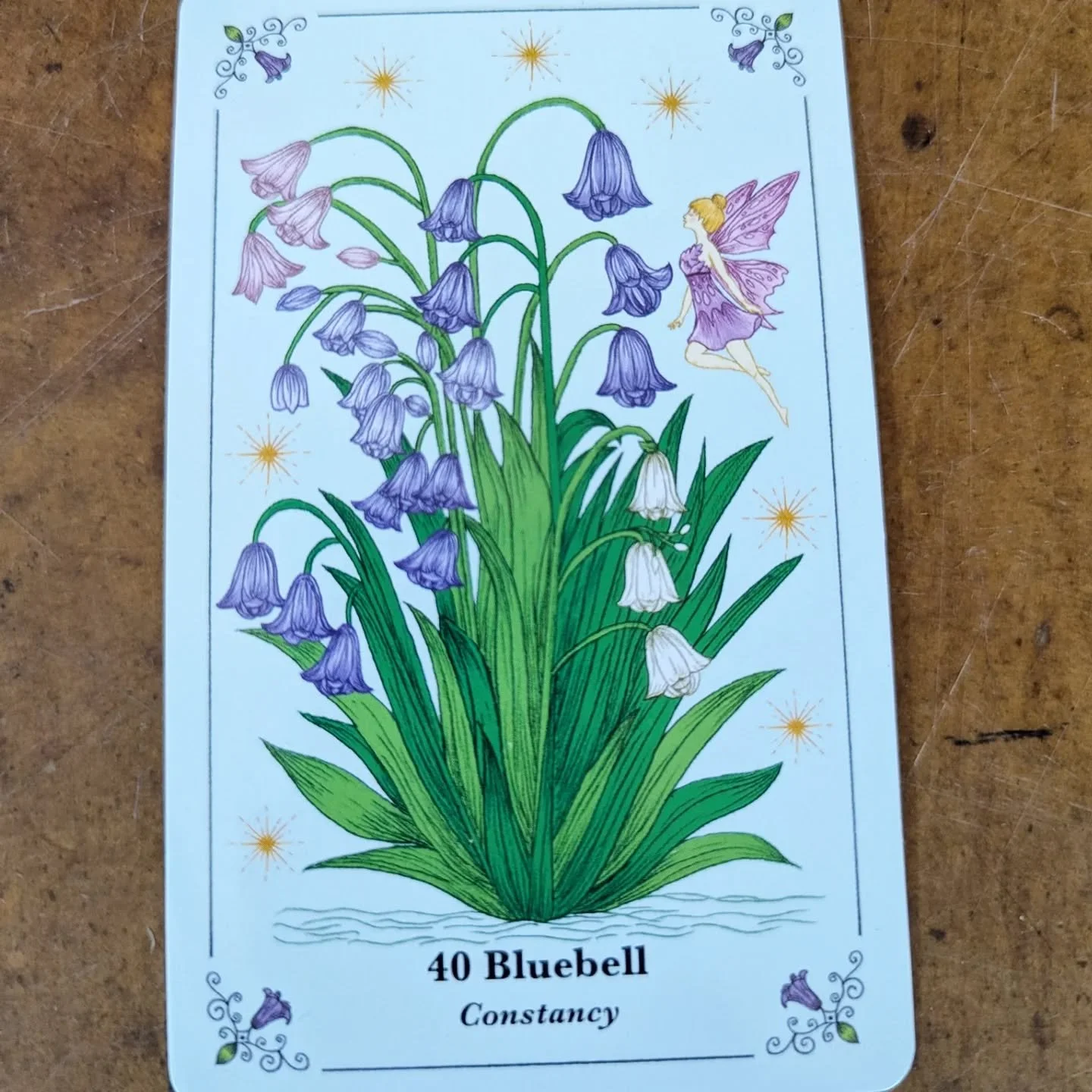 In this morning's root chakra themed yoga class we pulled 'Spirits in Flowers' oracle cards, and mine was the bluebell.  The second photo is the bluebells at the back of my house. 

Bluebells are a sign of rebirth, constancy, eternal love and thanks.