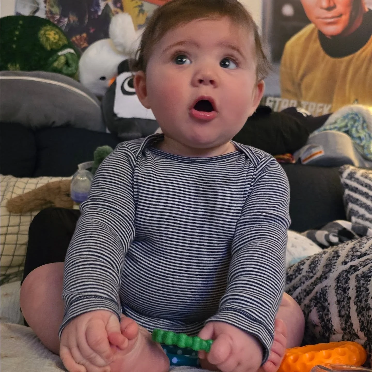 BIG HOLIDAY NEWS. Mama completed her Thrice collection. 🥳😎 I missed the announcement of Alchemy Index FINALLY coming out on two 2LP's while I was on maternity leave. 😭 but i have the 10" box set and that'll have to be enough for now. Am I the