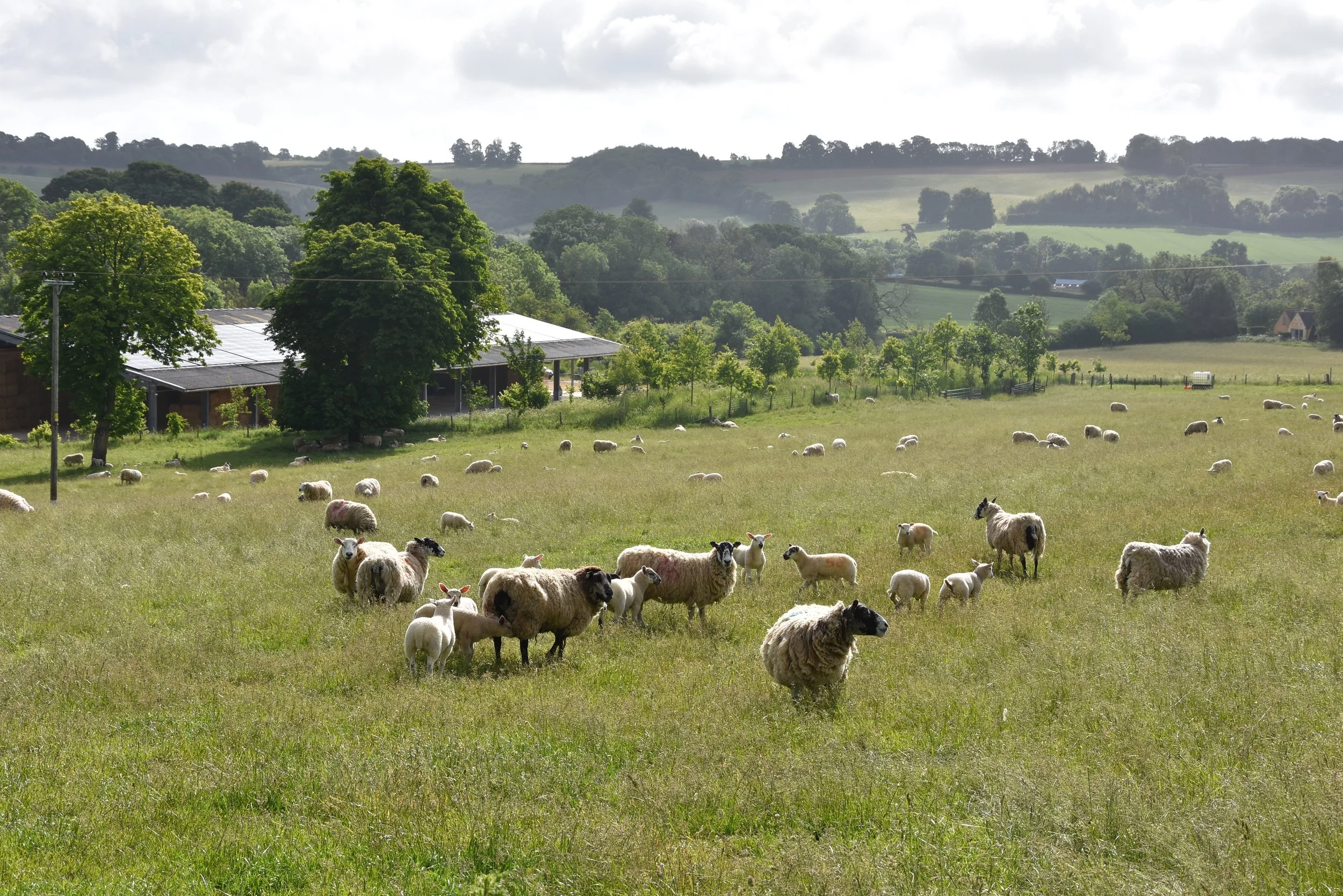 Results from recent Competitions