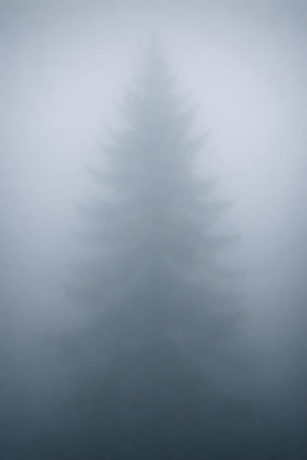 Le Marché Extraordinaire de Noël 2026 !