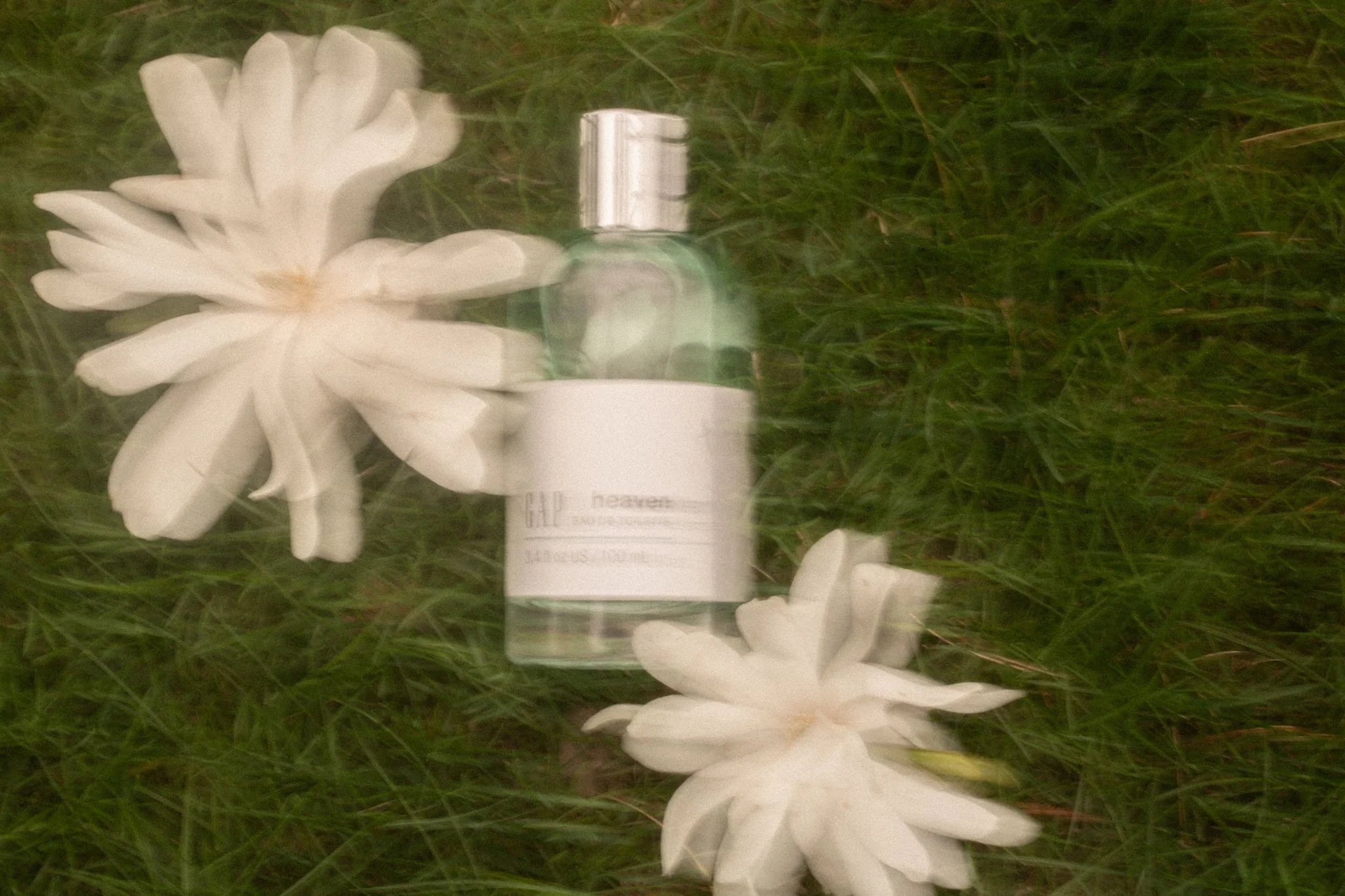 image-37.jpg