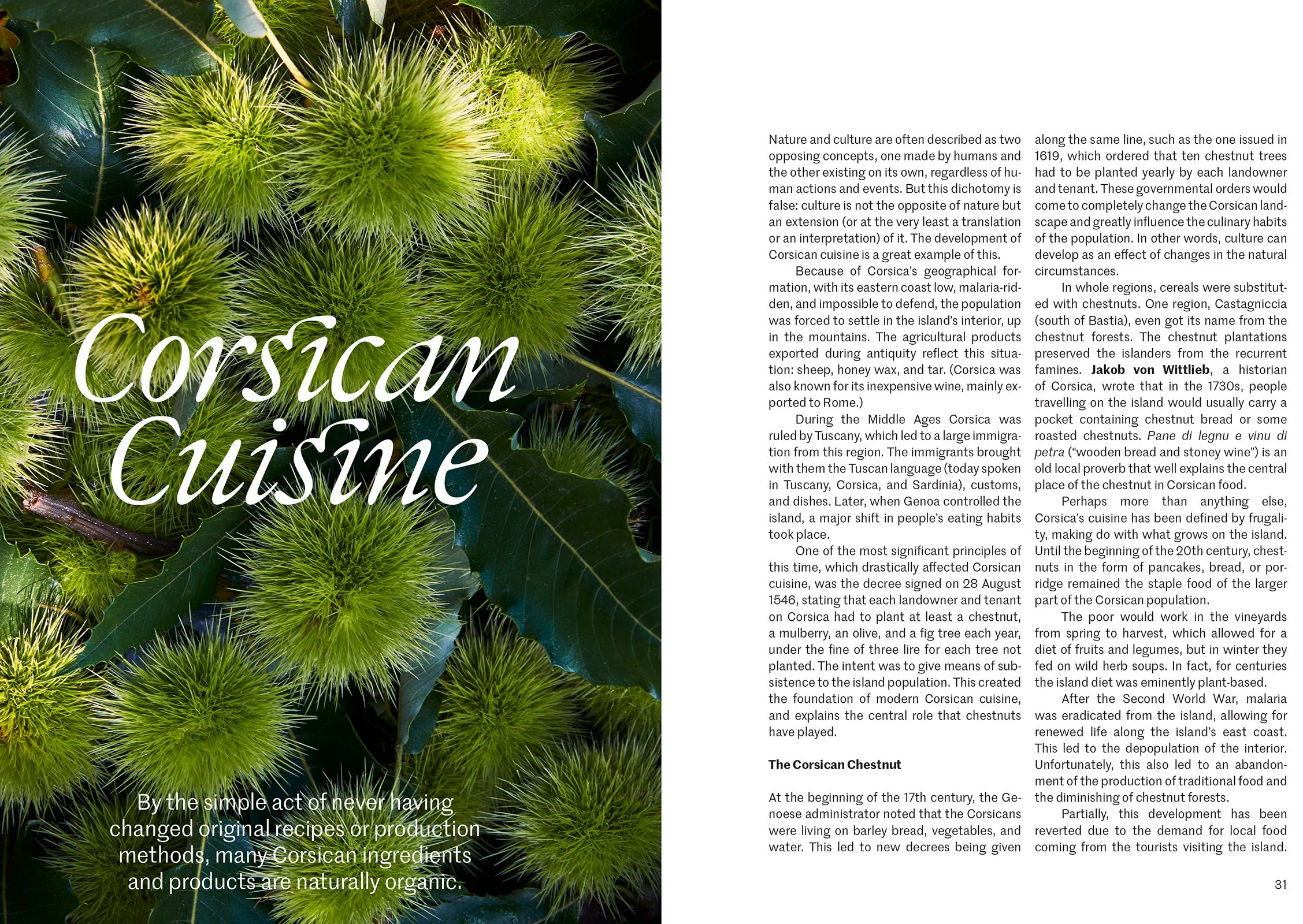 Lohi 2 Cap Corse-16.jpg