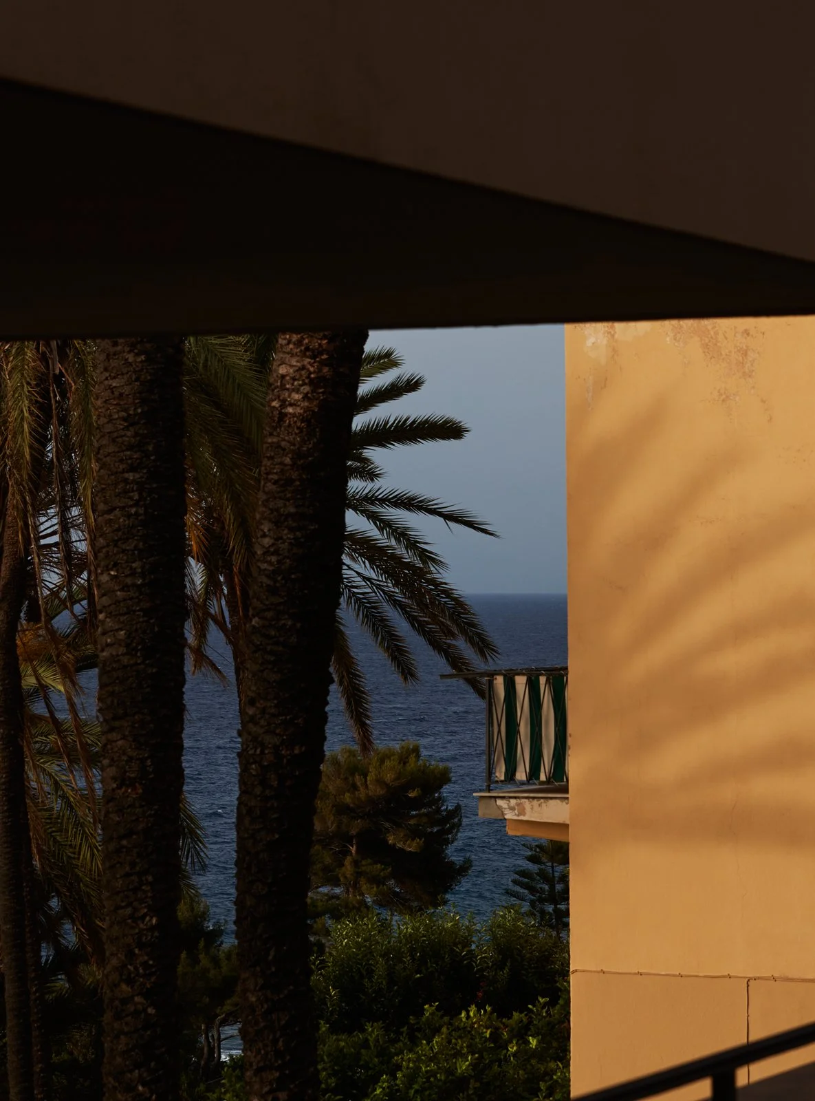 GUIDE / BORDIGHERA / LA REINE DES PALMIERS