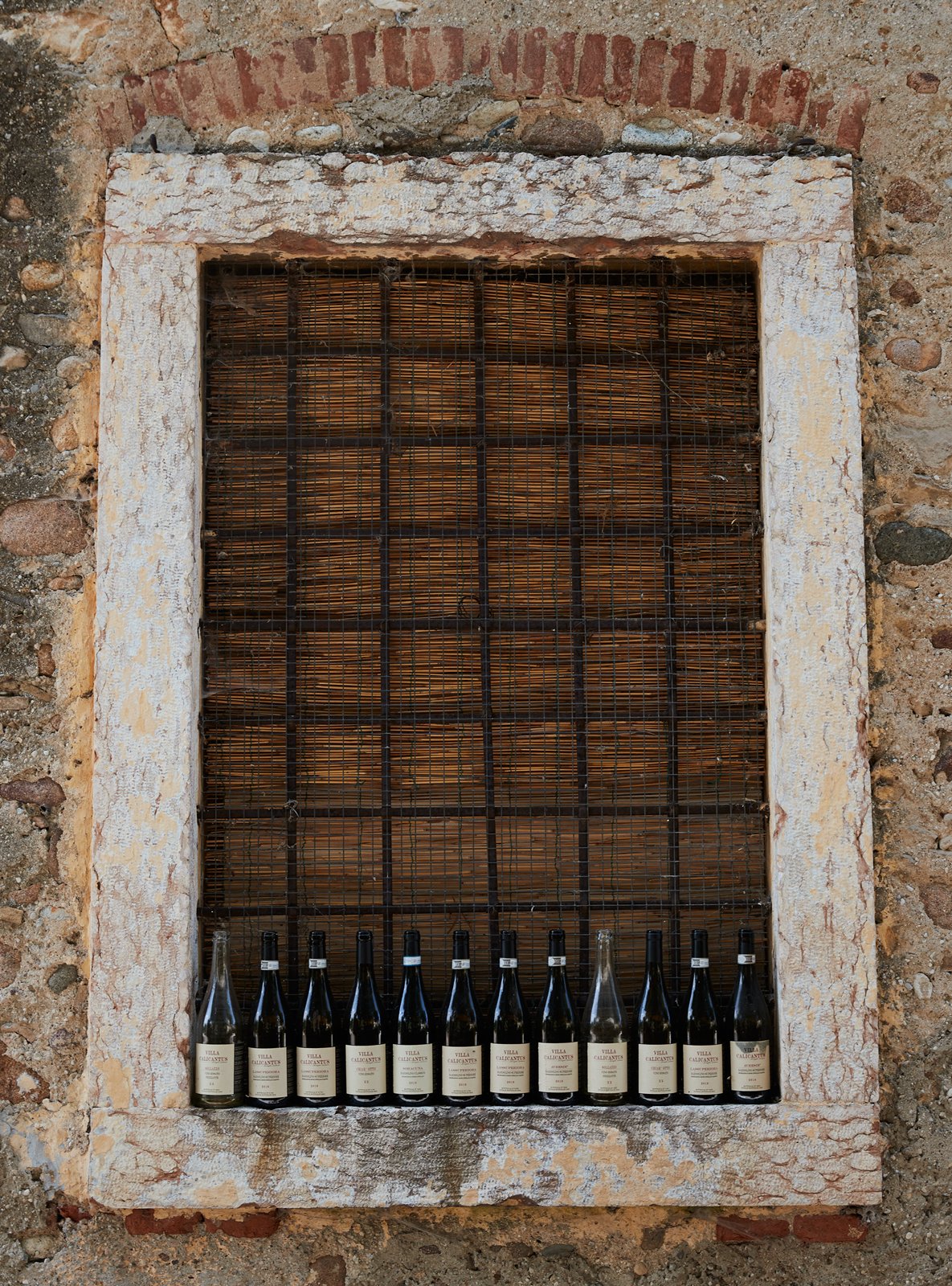 WINE / VILLA CALICANTUS / BARDOLINO