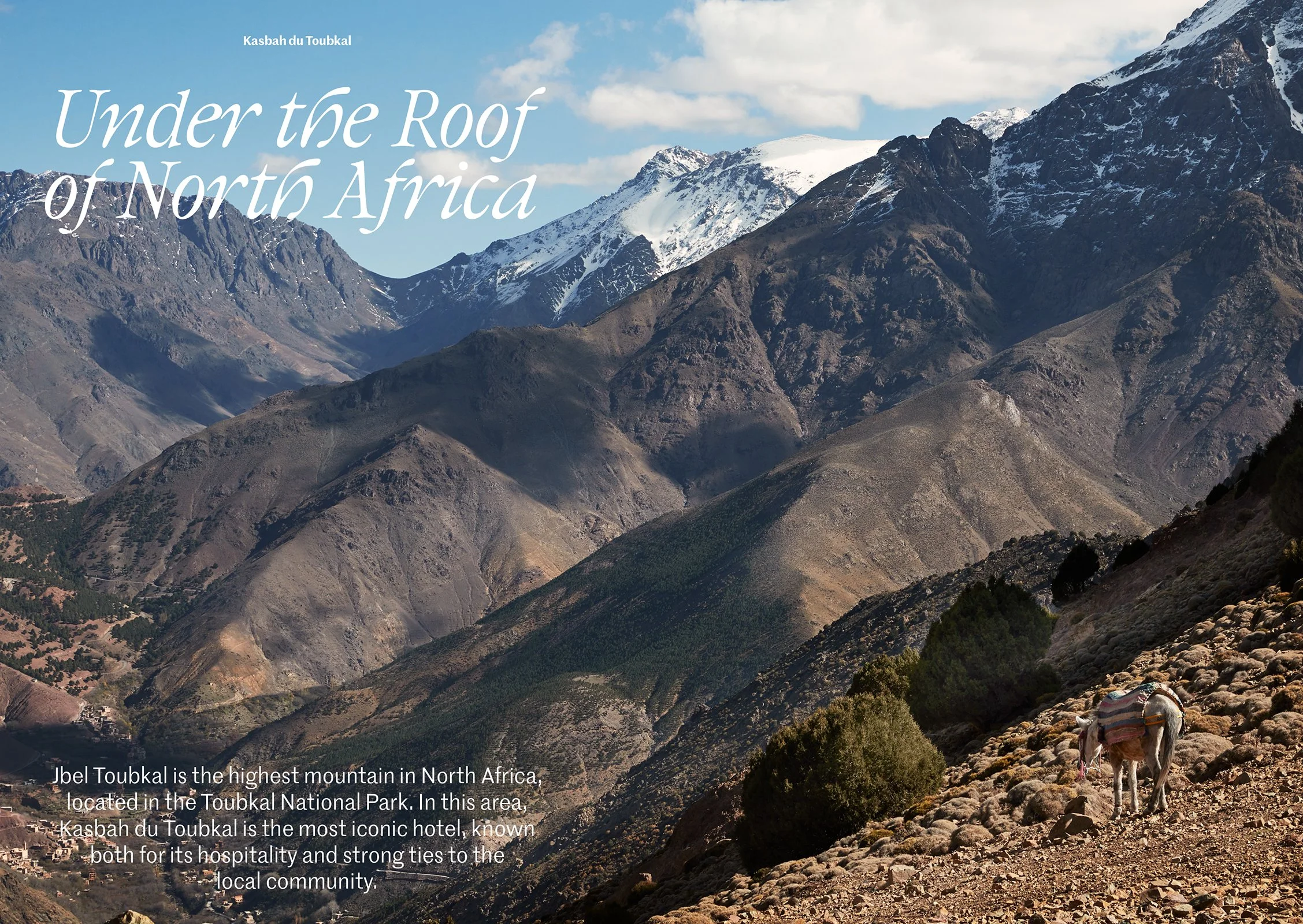 Lohi 3 Marocko-19.jpg