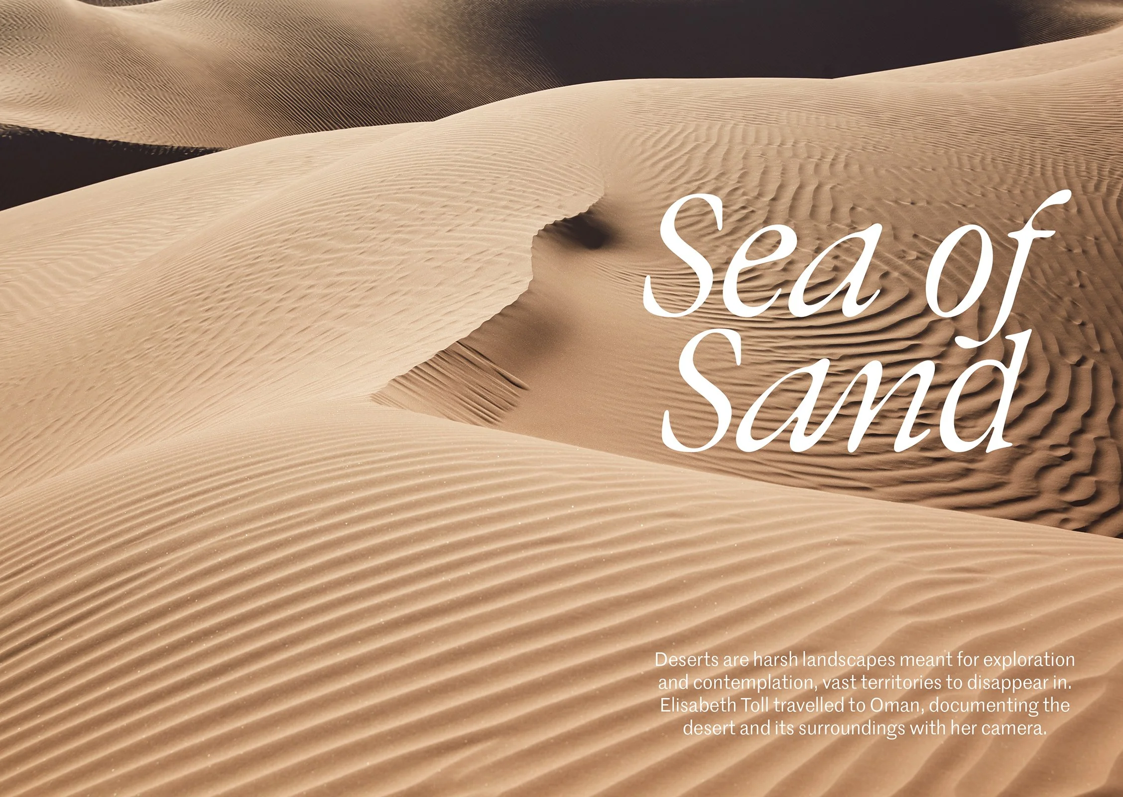 Lohi #5 Inlaga Final-35.jpg