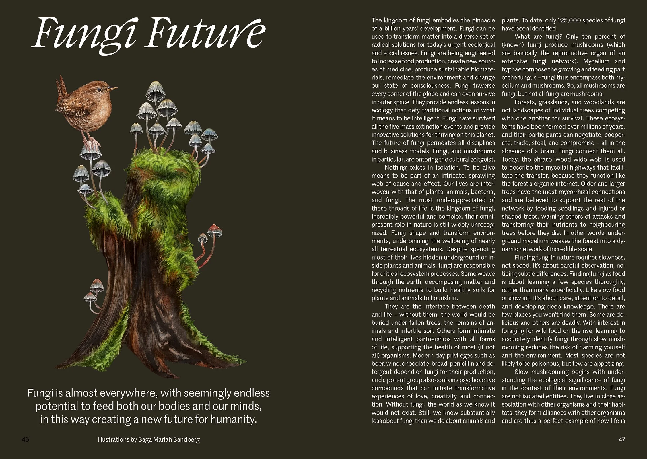 Lohi #4 Inlaga Digital-24.jpg