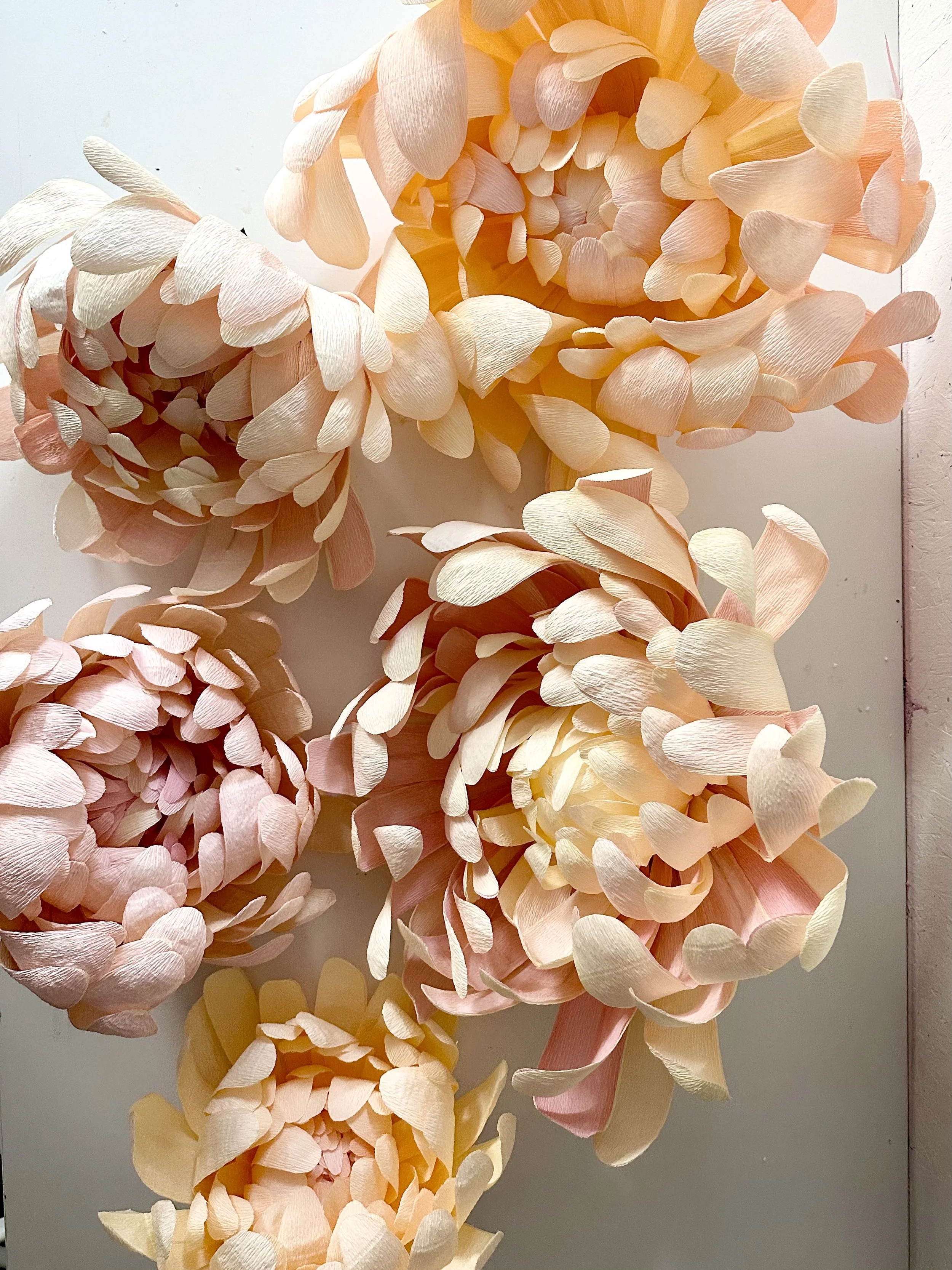 Paper chrysanthemums, handmade for an event in London