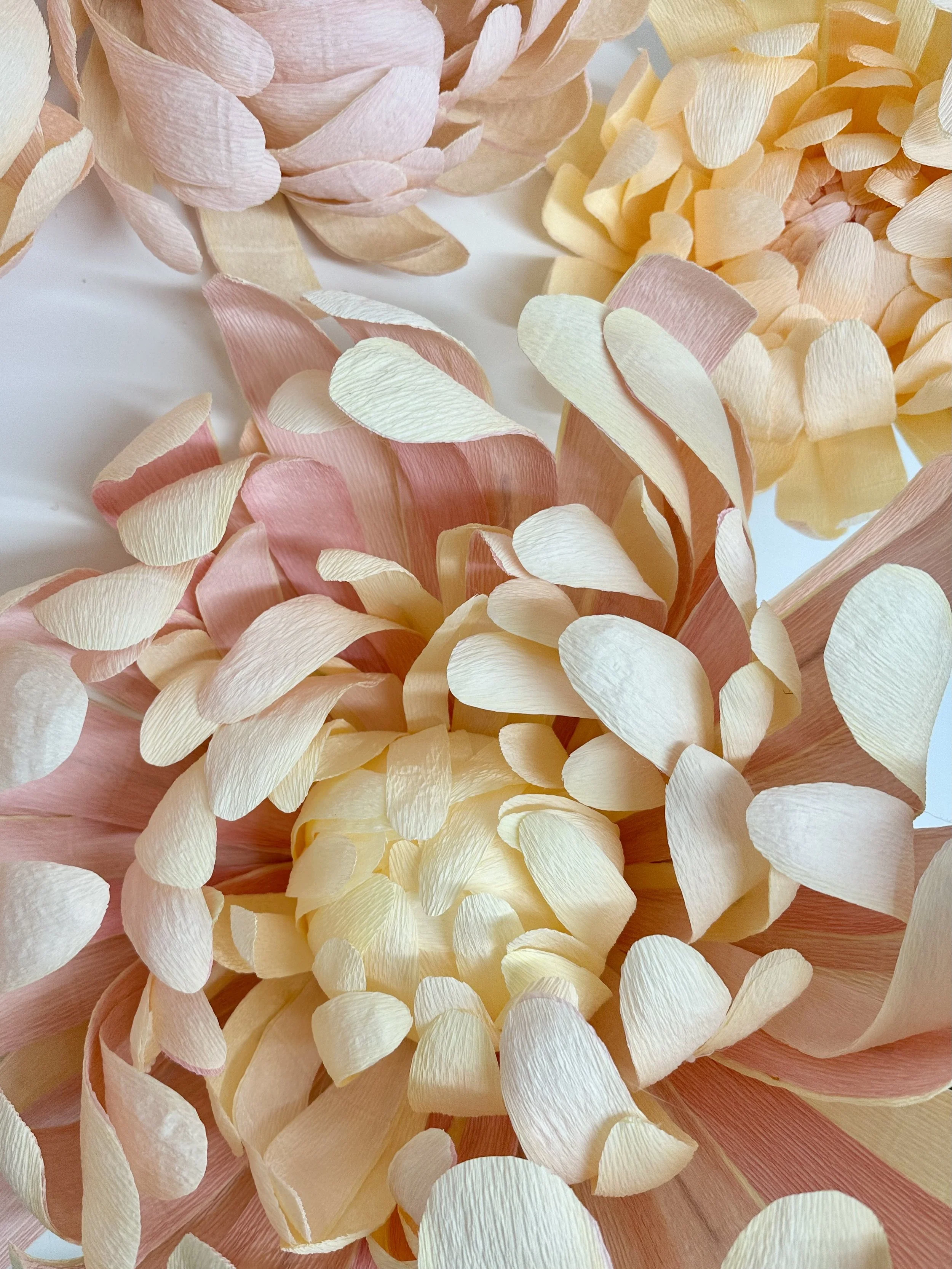 Paper chrysanthemums, handmade for an event in London