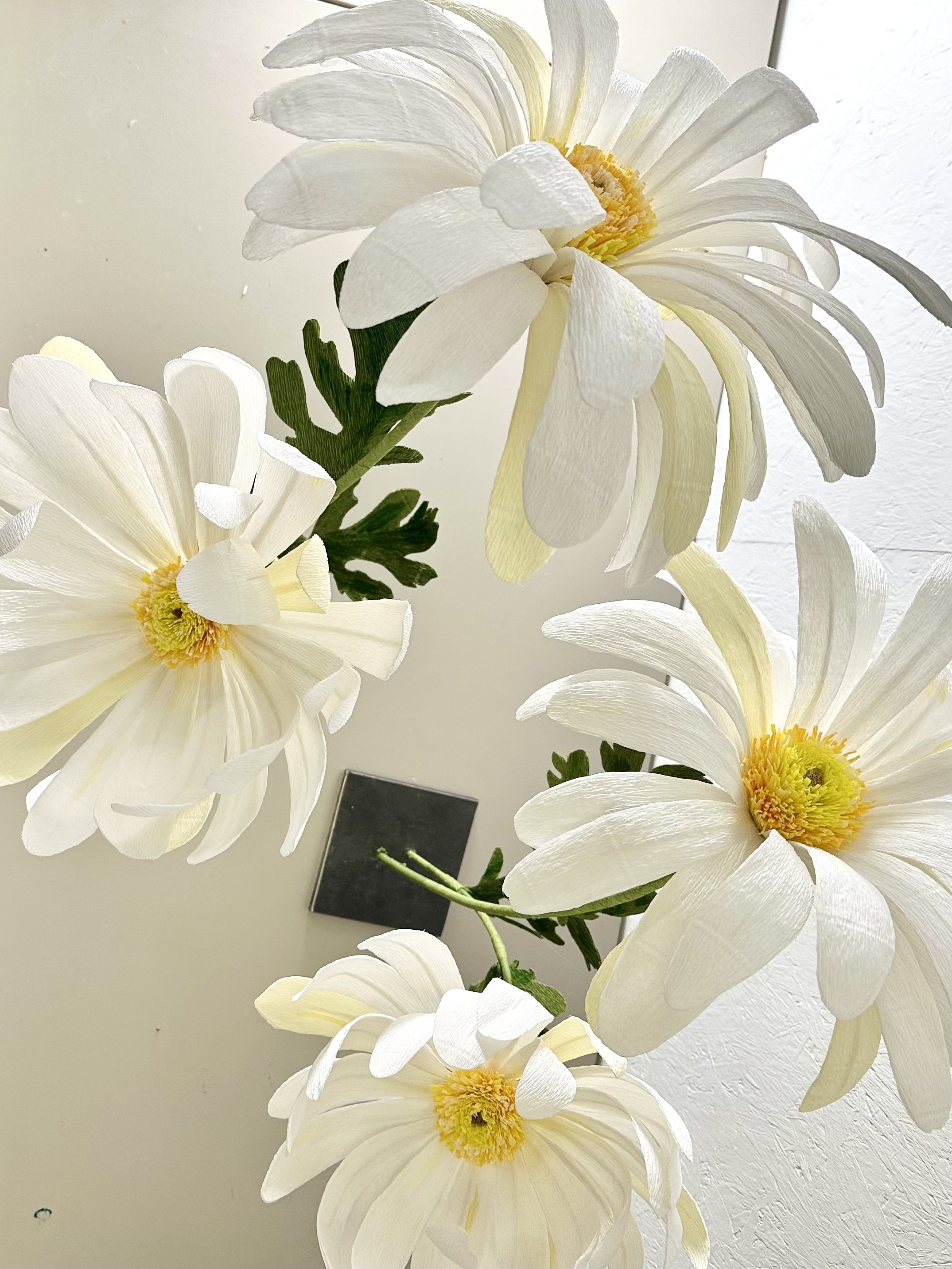 Paper daisies handmade by Fiona Coupe Studio for Jo Malone London Christmas window prototype