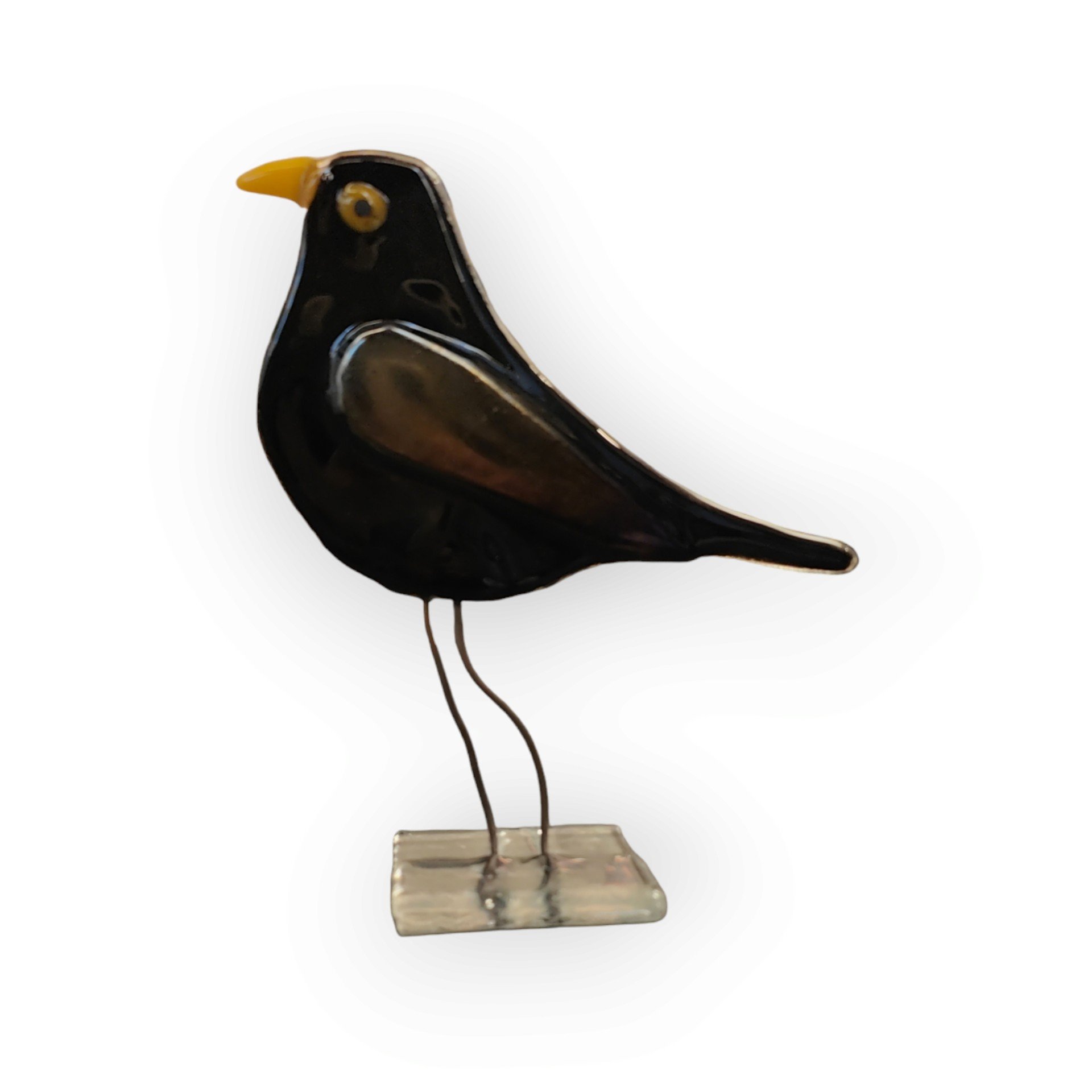 Blackbird