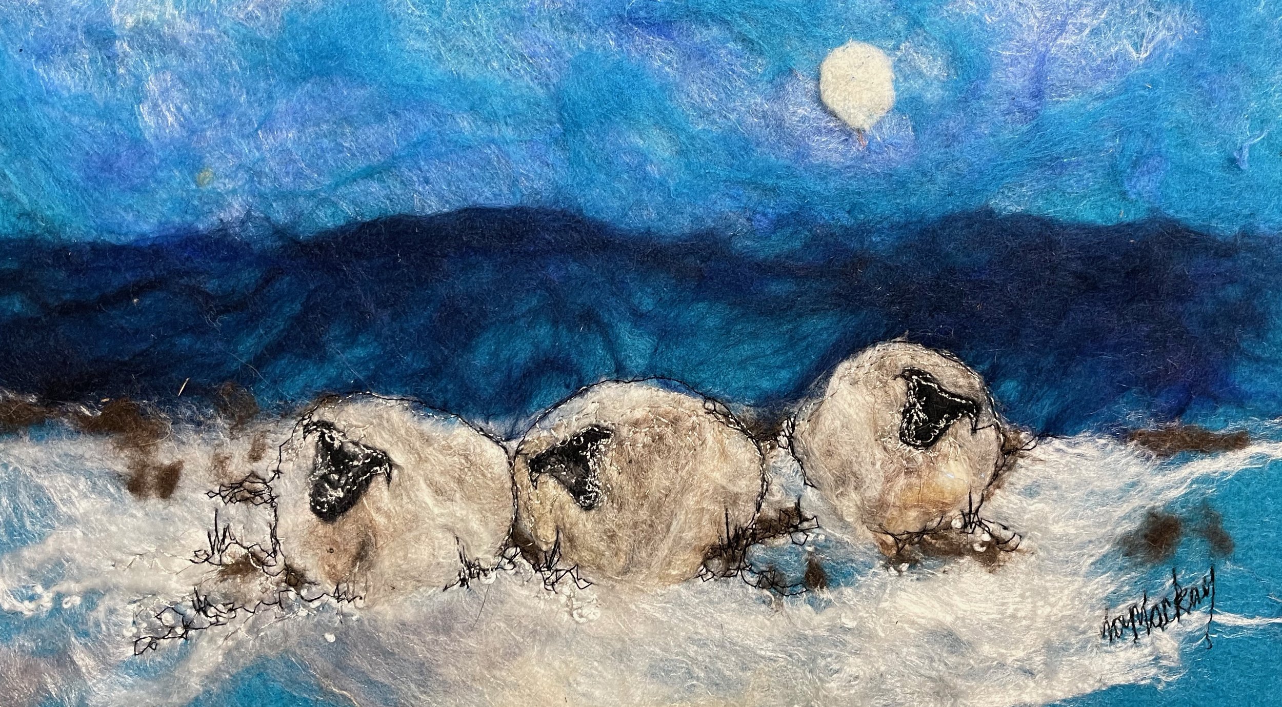 Cobalt Cheviots