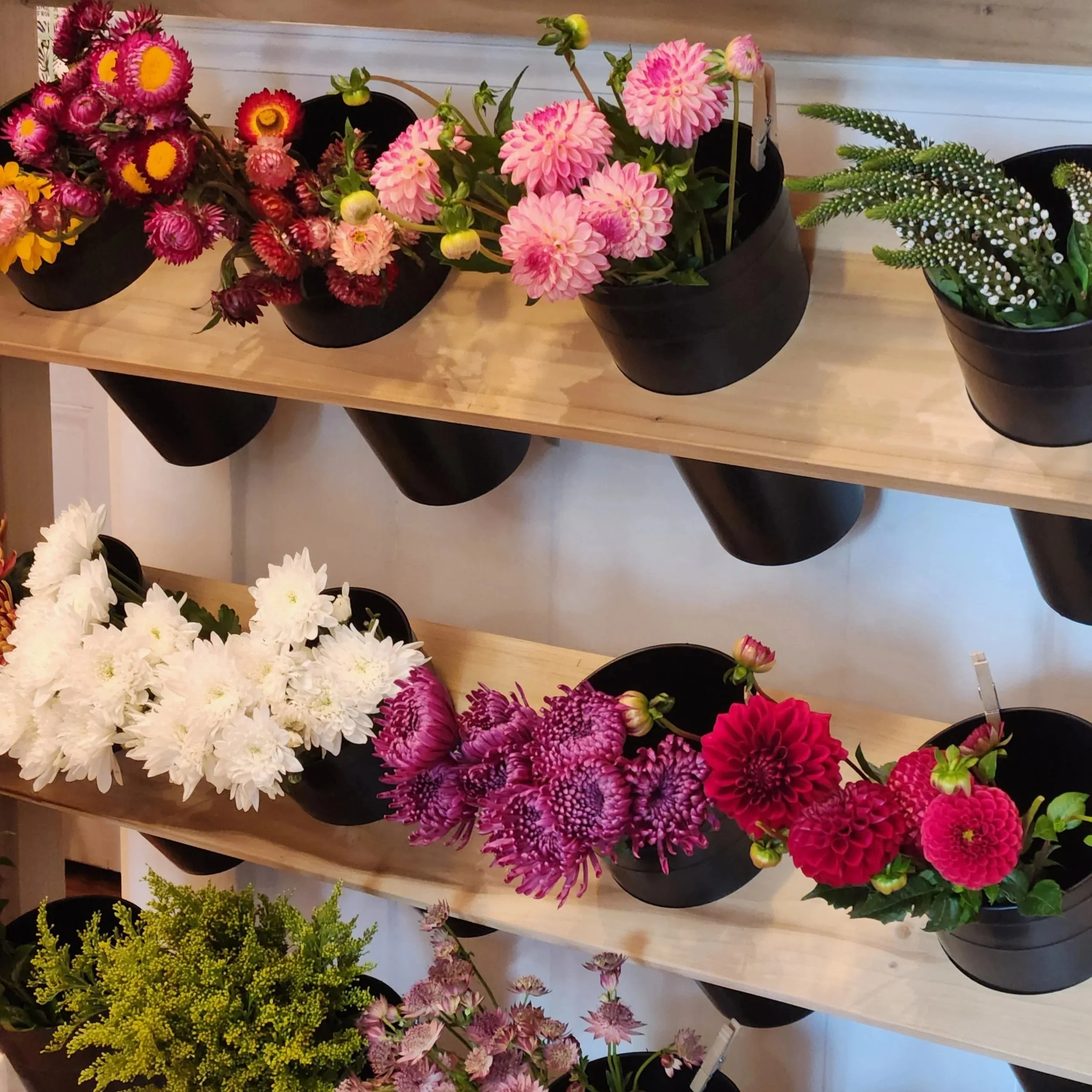 Colorful display of various potted flowers arranged on wooden shelves.