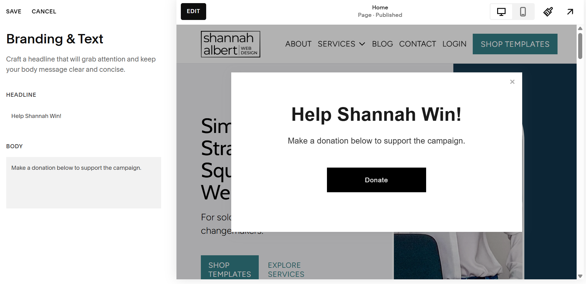 Screenshot of the content panel with gray-border