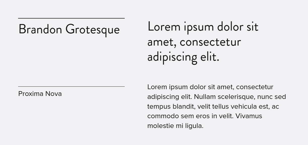 Brandon Grotesque heading font and Proxima Nova paragraph font with lorem ipsum text samples with black-border