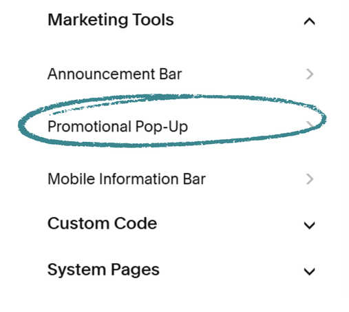 Screen shot of Marketing Tools menu with Promotional Pop-Up highlighted with a gray-border