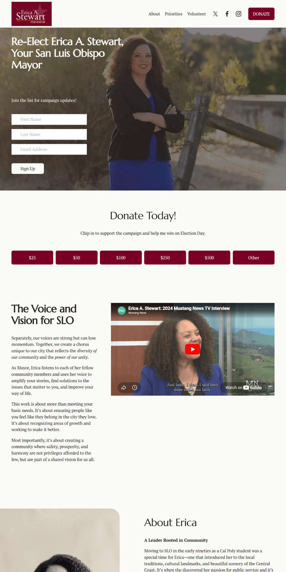 Erica Stewart for Mayor website with gray-border