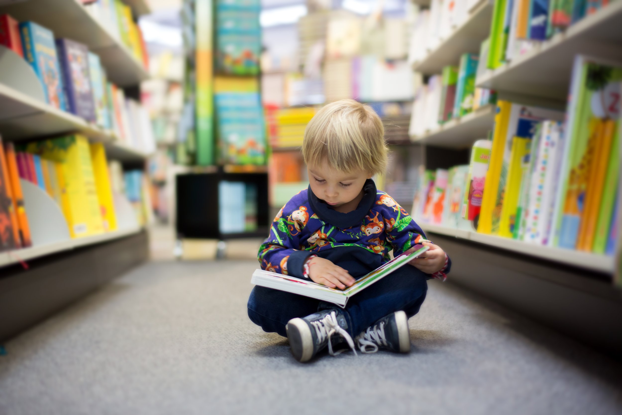 Toddler reading his favorite book at the library