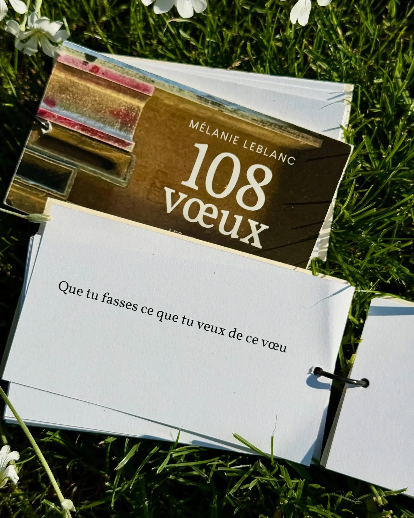 V&oelig;ux du jour.
108 v&oelig;ux de M&eacute;lanie Leblanc aux &Eacute;ditions Les Venterniers 🤍 @melanie___leblanc @les_venterniers &laquo;&nbsp;Ce recueil r&eacute;unit une multitude de v&oelig;ux : ils appartiennent au domaine de la nature, de 
