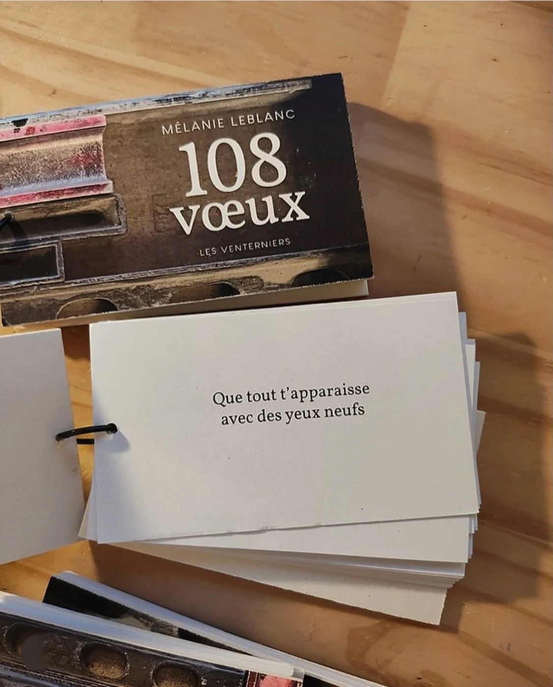 108 v&oelig;ux de M&eacute;lanie Leblanc @melanie___leblanc aux &eacute;ditions @les_venterniers 💚&agrave; retrouver &agrave; la Maison Galerie de Gerberoy &agrave; partir du vendredi 1er mai !
&laquo;&nbsp;Ce recueil r&eacute;unit une multitude de 