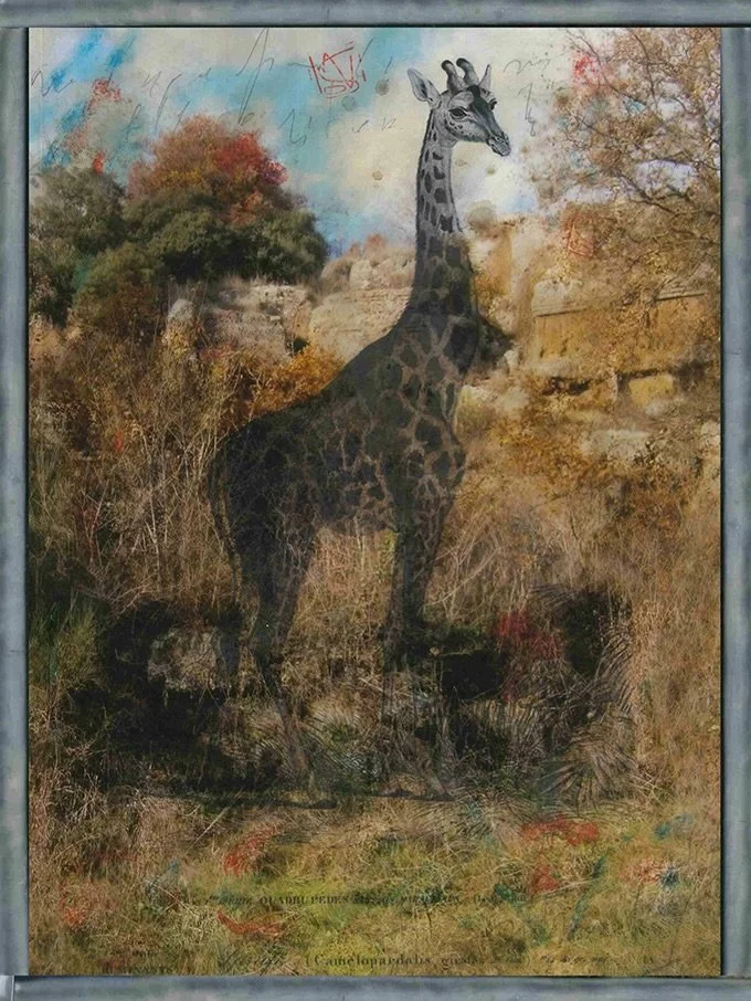 Salvatore Puglia @spuglia_ 
Des &oelig;uvres &agrave; observer en d&eacute;tail, m&ecirc;lant plusieurs techniques et superpositions.
Les animaux des gravures viennent de l&rsquo;Histoire naturelle de Buffon. #gerberoy #art #exposition #baudelairegal