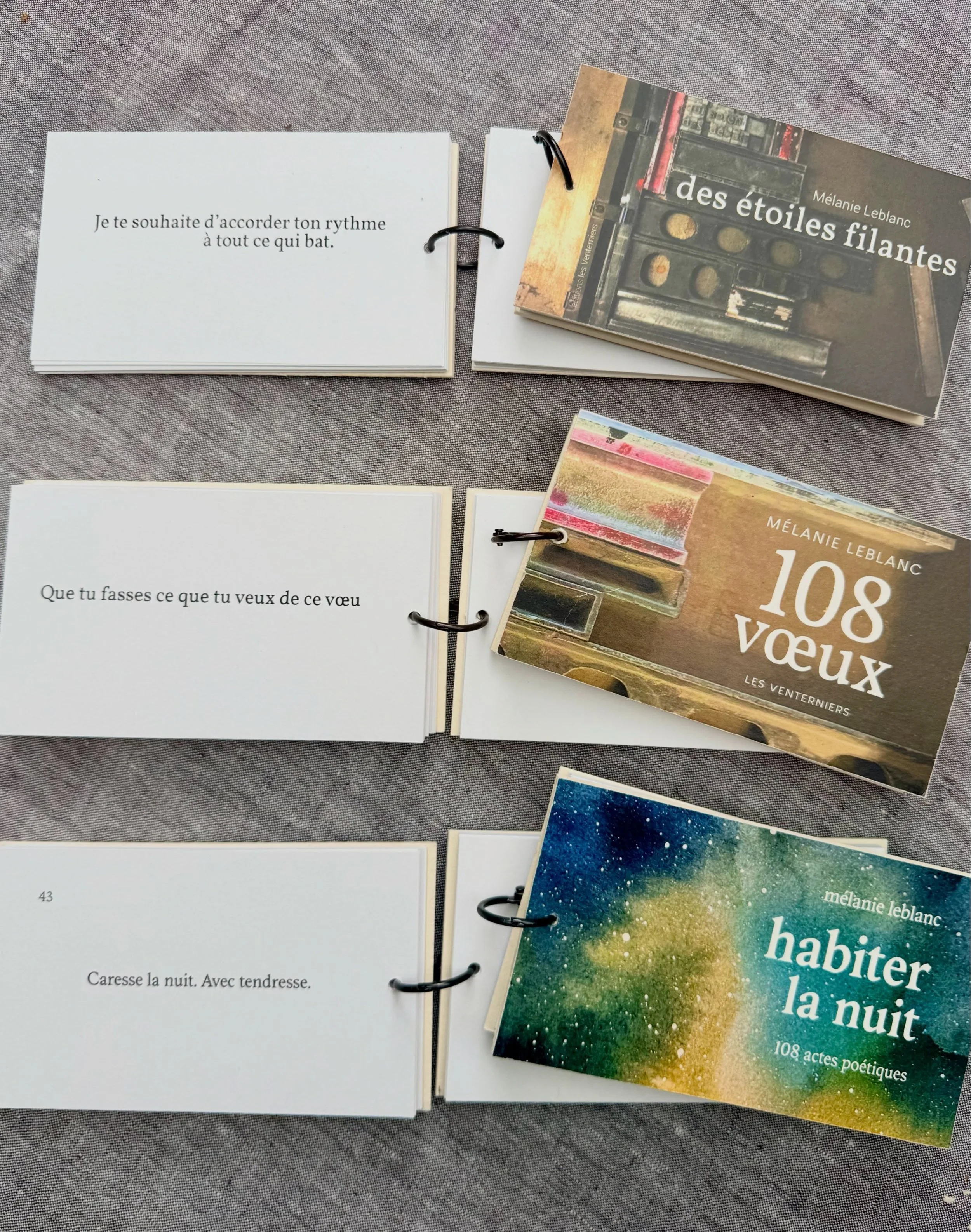 Des v&oelig;ux, po&egrave;mes, mots doux, encouragements, amour et espoirs offerts. Merci M&eacute;lanie Leblanc @melanie___leblanc po&eacute;tesse merveilleuse, publi&eacute;e par une belle et engag&eacute;e maison d&rsquo;&eacute;dition ind&eacute;