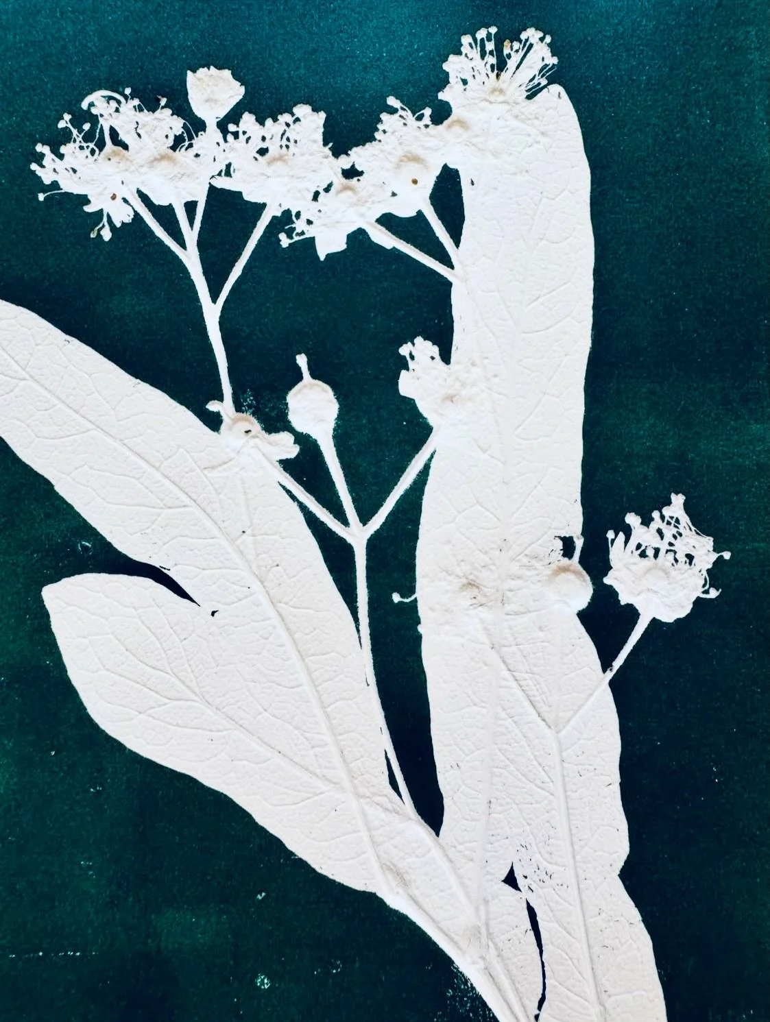 *S&Egrave;VE &Eacute;TOILE*

&laquo;&nbsp;J&rsquo;ai &agrave; coeur de transmettre sa beaut&eacute; vivante  en cr&eacute;ant des
pi&egrave;ces d&eacute;coratives sensibles
destin&eacute;es &agrave; r&eacute;chauffer les coeurs et les int&eacute;rieu