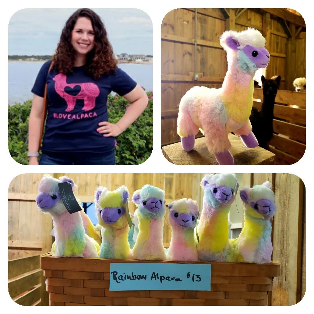 New merch alert! We are open 10-5 Tuesday &amp; Saturday.  You can meet the alpacas while you are here. See you tomorrow!