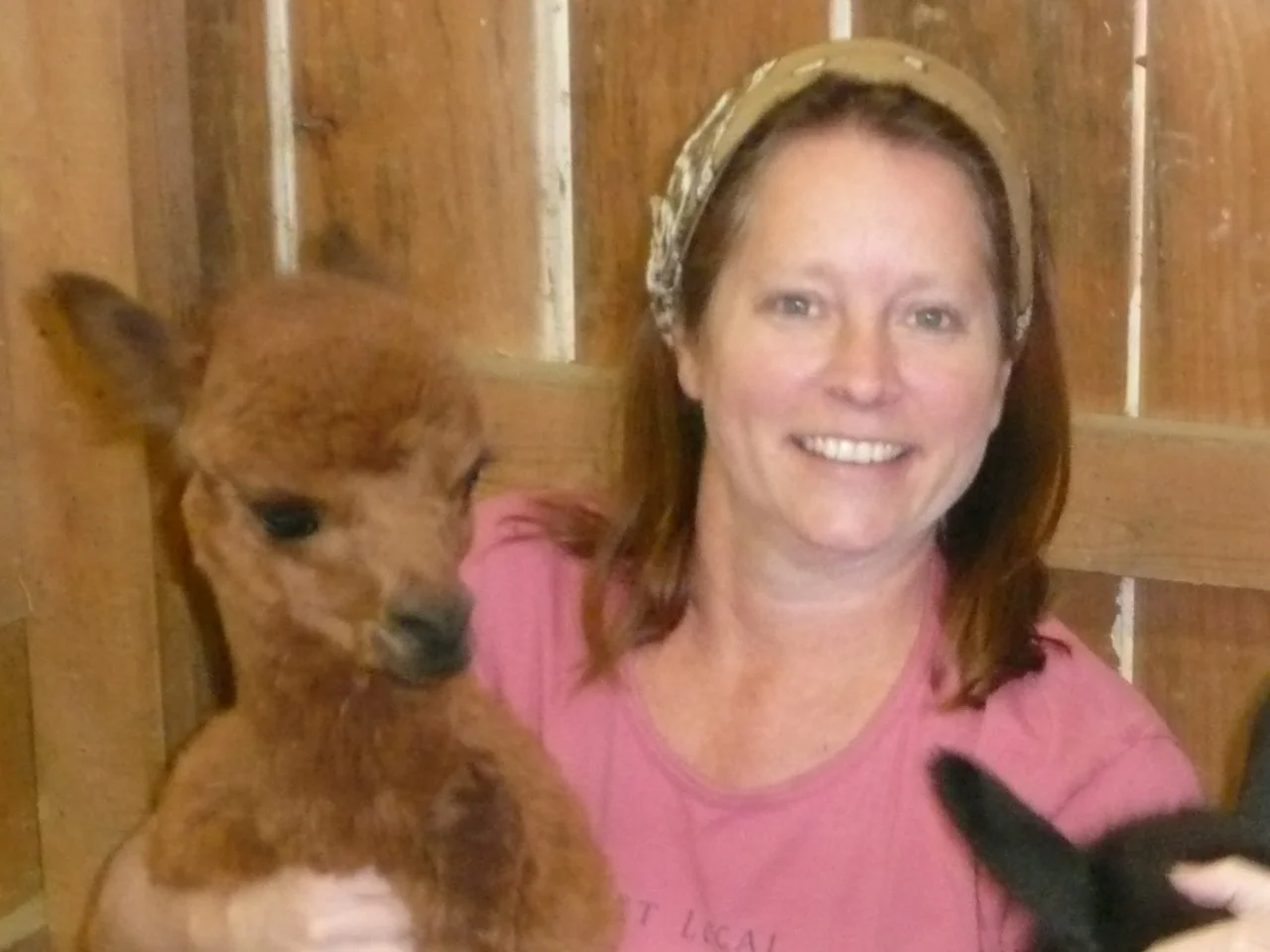 group of crias 004.jpg