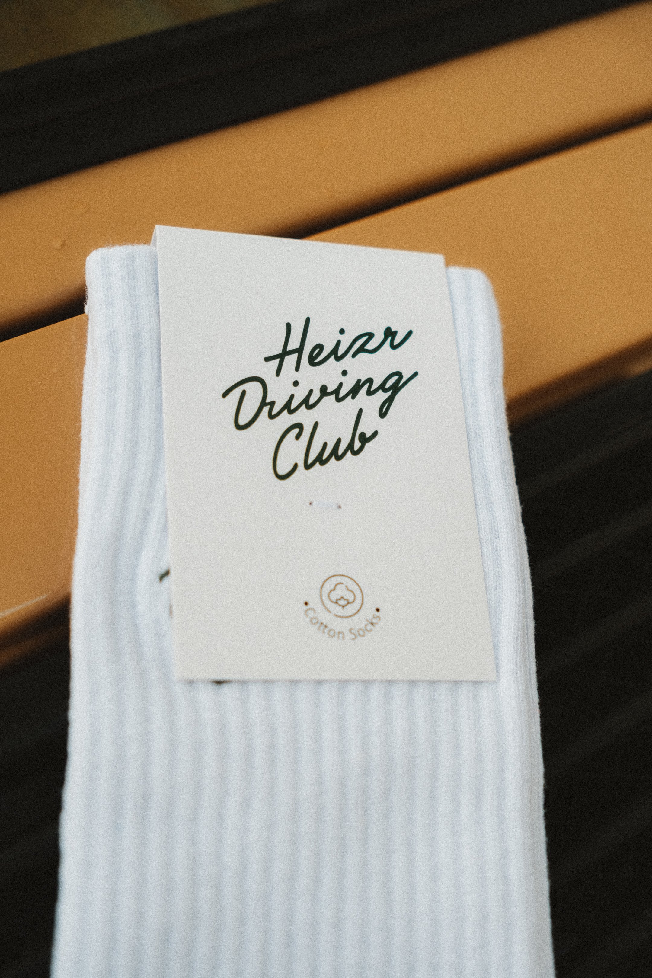 HEIZR_Indutries2_Merch-59.jpg