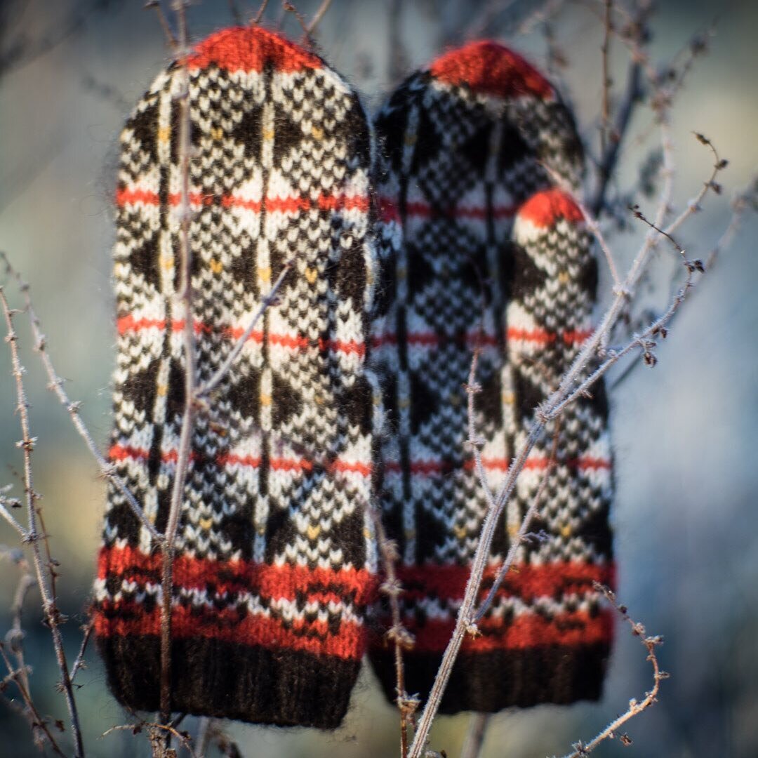 Wool mittens in January - essential.
Tovio Mittens, worked in Finnish Riihivilla Aarni pure wool yarn using 5 dpns. Sadly this beautifully soft Finn sheep wool yarn, produced with care from sheep to hank is no longer available and is greatly missed. 