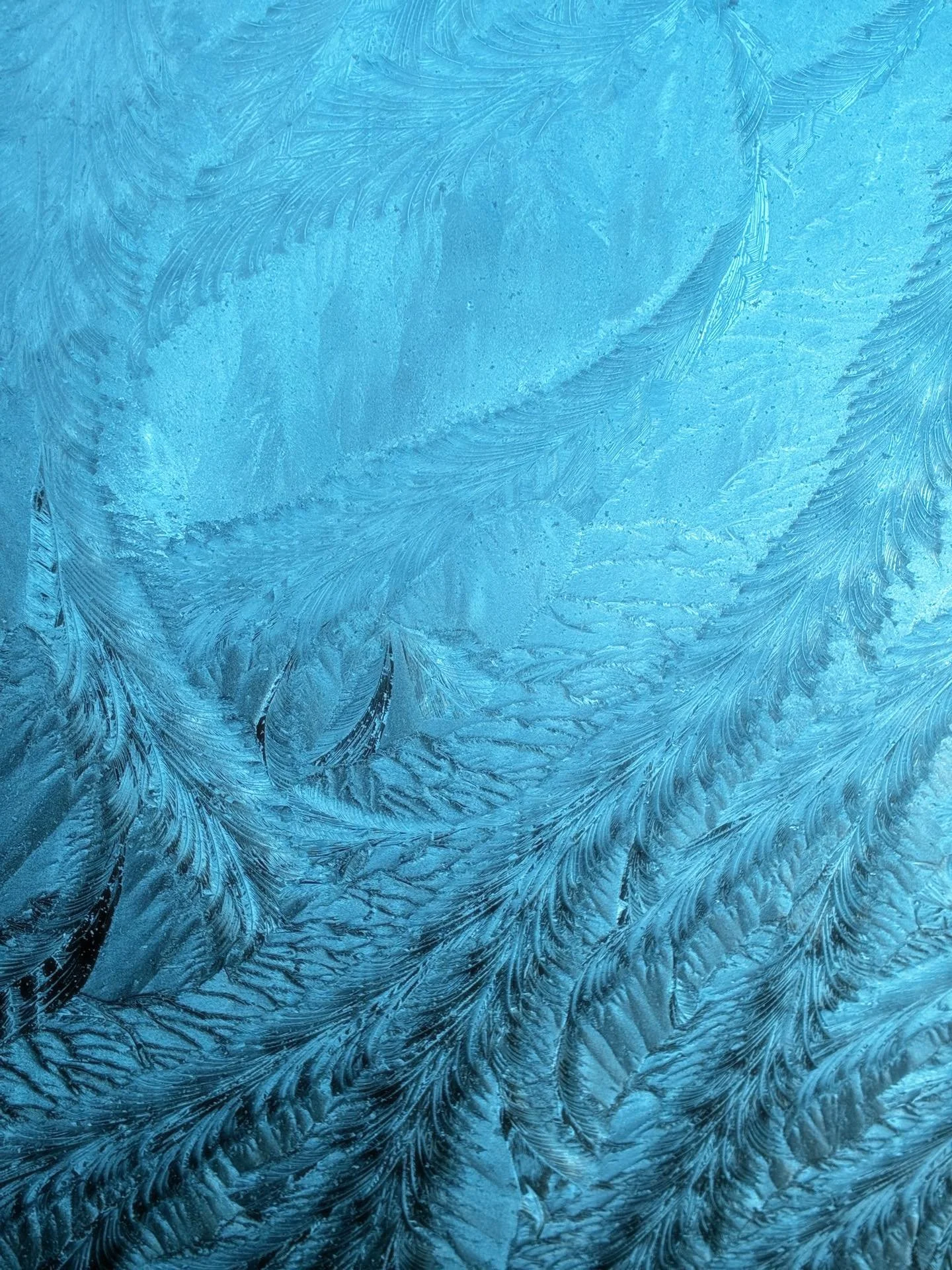 Cold, icy start to 2026
Fantastic, feathery flourishes of frost&hellip;beautiful designs.

#lucindaguyknitwear #lucindaguy #lucindaguyknittingpatterns