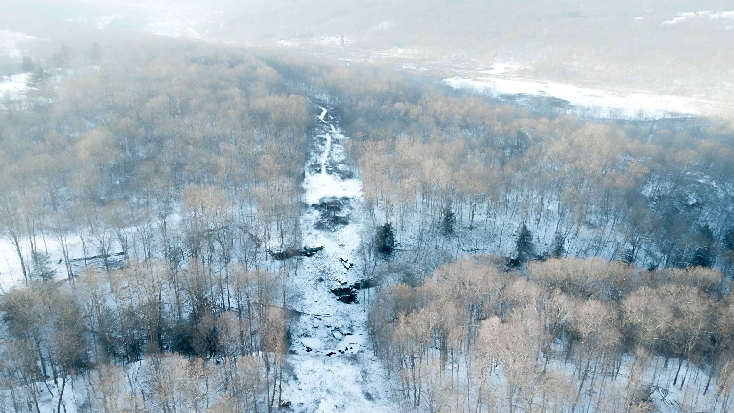 Winter in the Woods