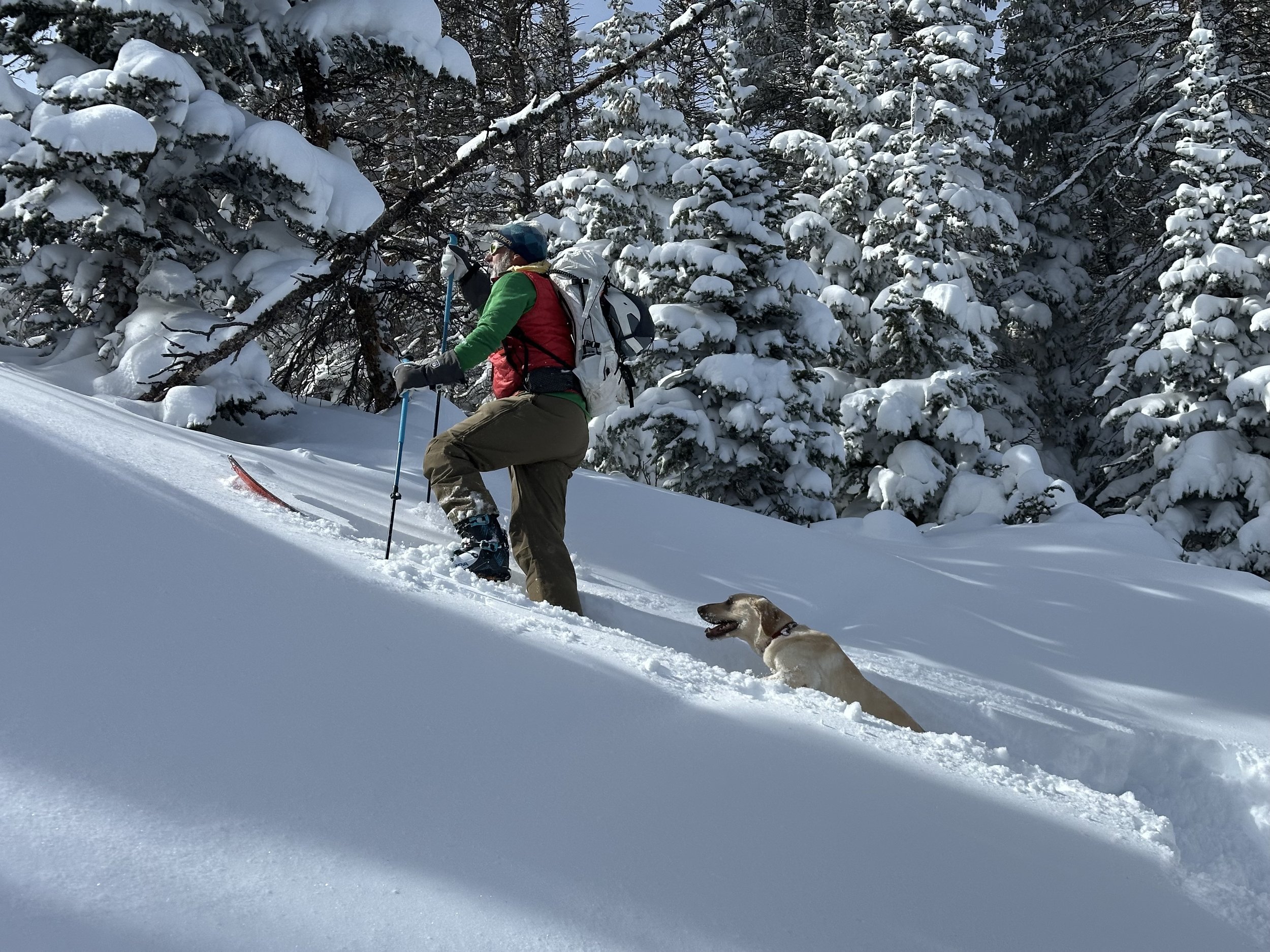 Tom and Sitka Skiing.jpg