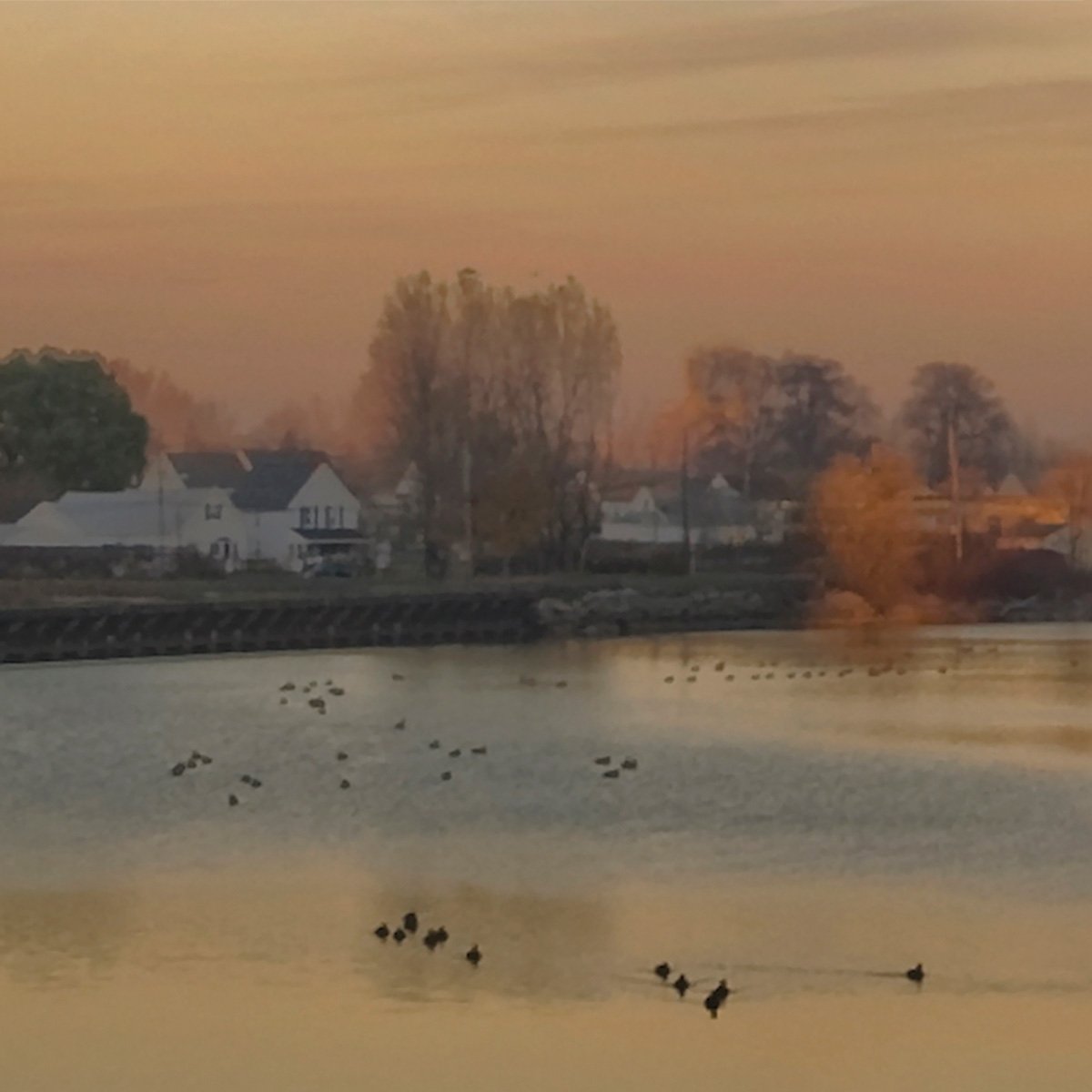 what the goo goo dolls (and buffalo) taught me about being an underdog