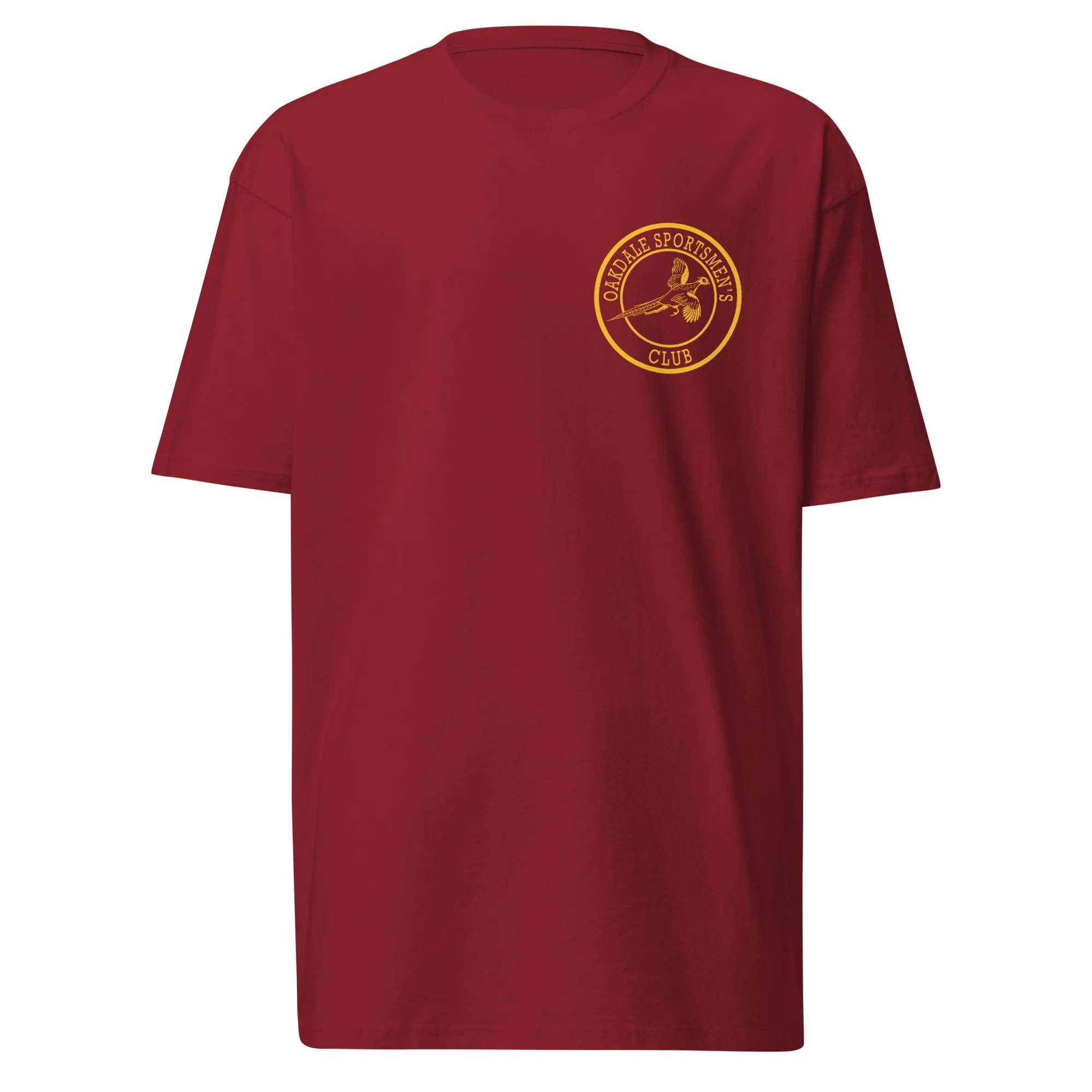 mens-premium-heavyweight-tee-brick-red-front-674e49deb67be.jpg