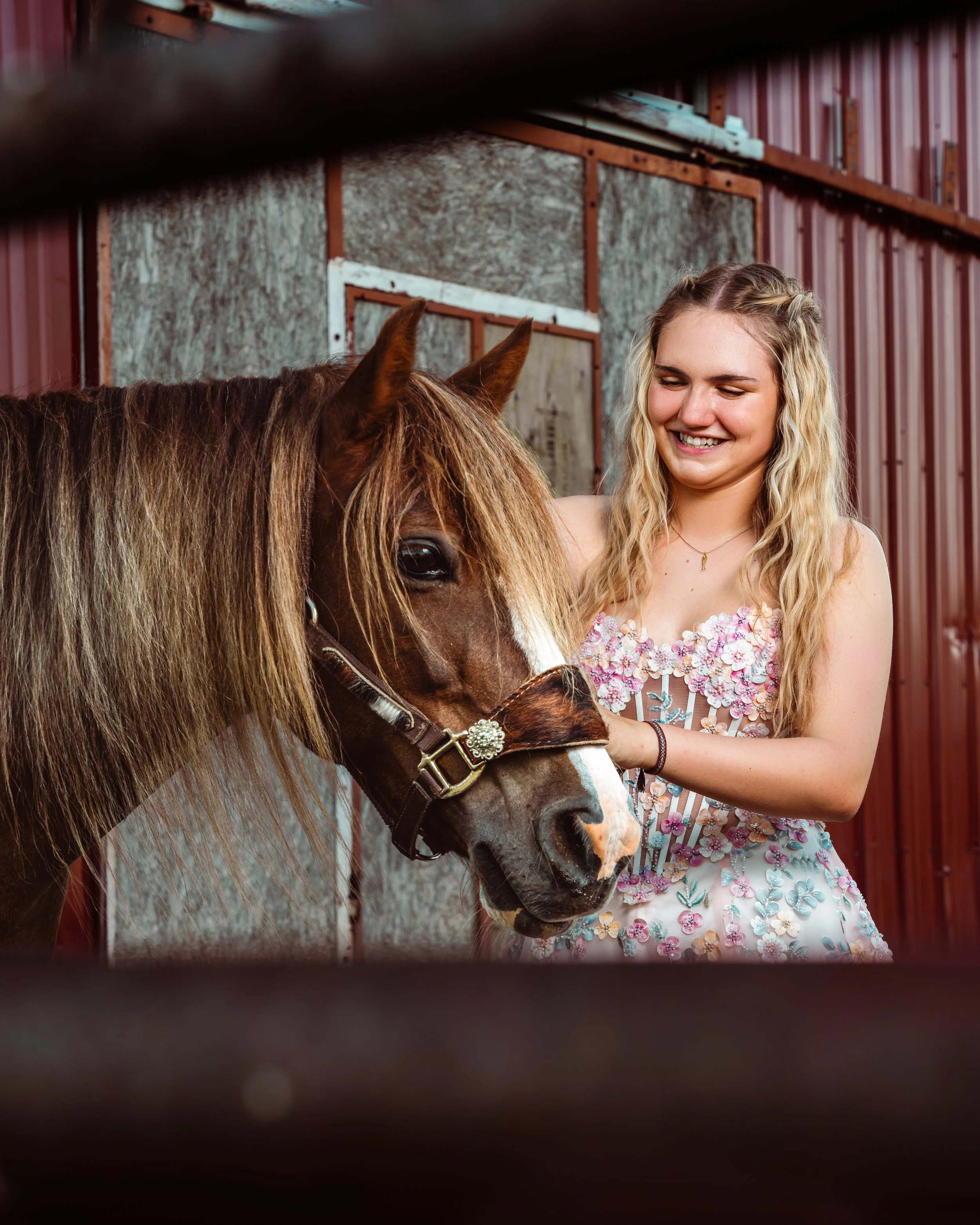 A young woman with blonde, curly hair smiling as she interacts with a brown horse in a barn-like setting, visible through a gap in fencing. Cochrane Alberta grad photographer.