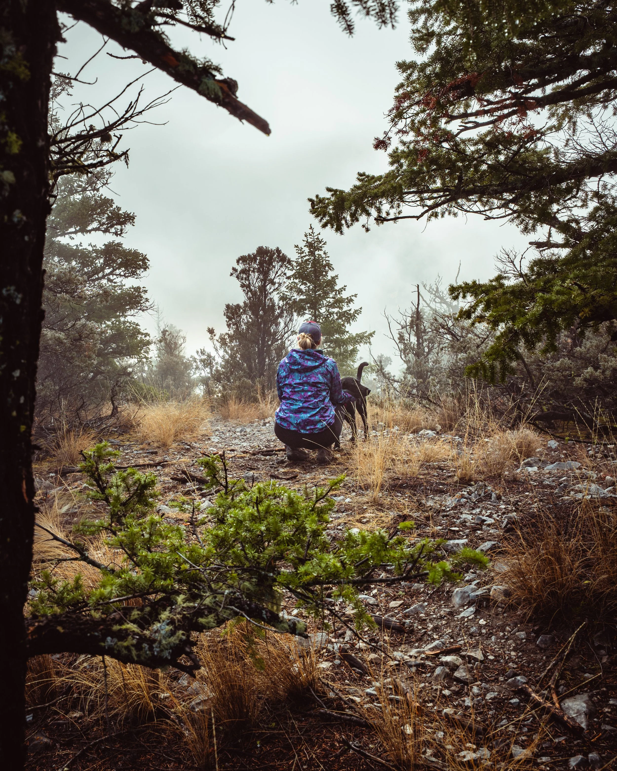 BC Monkey Face-7.jpg