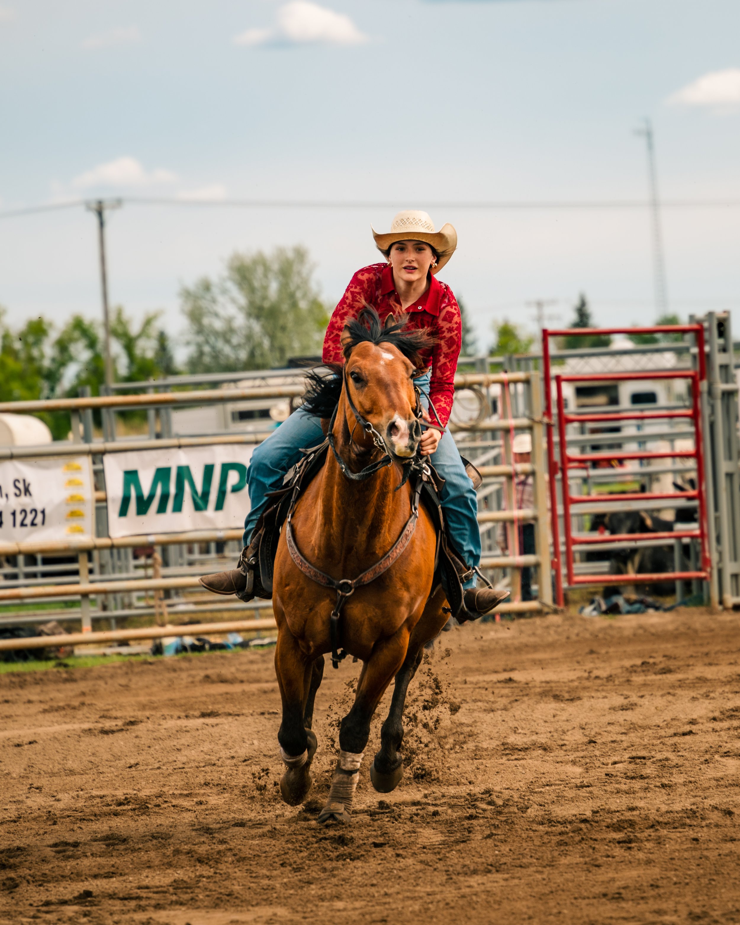 Cowboy riding a horse in a rodeo arena with a focus on speed and agility.