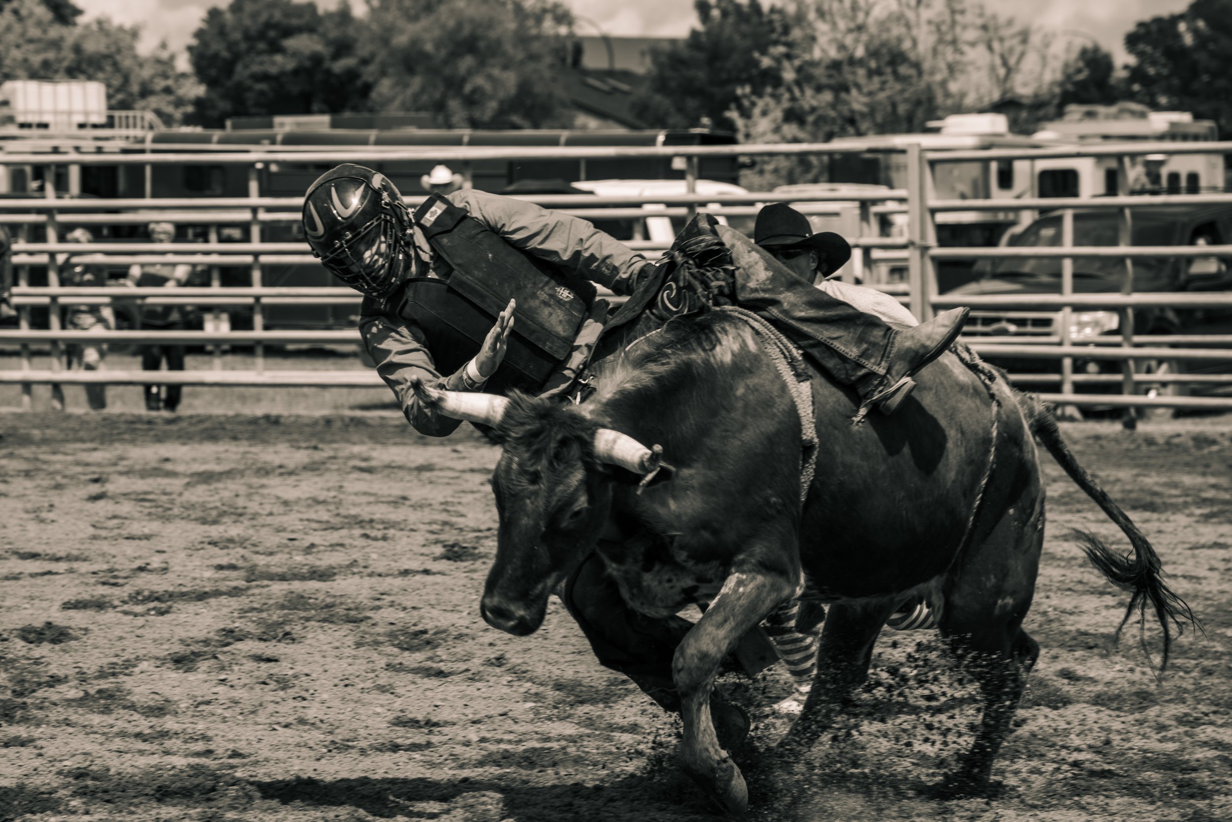 Rodeo event with bull rider in action, wearing protective gear and gripping onto bucking bull in outdoor arena.