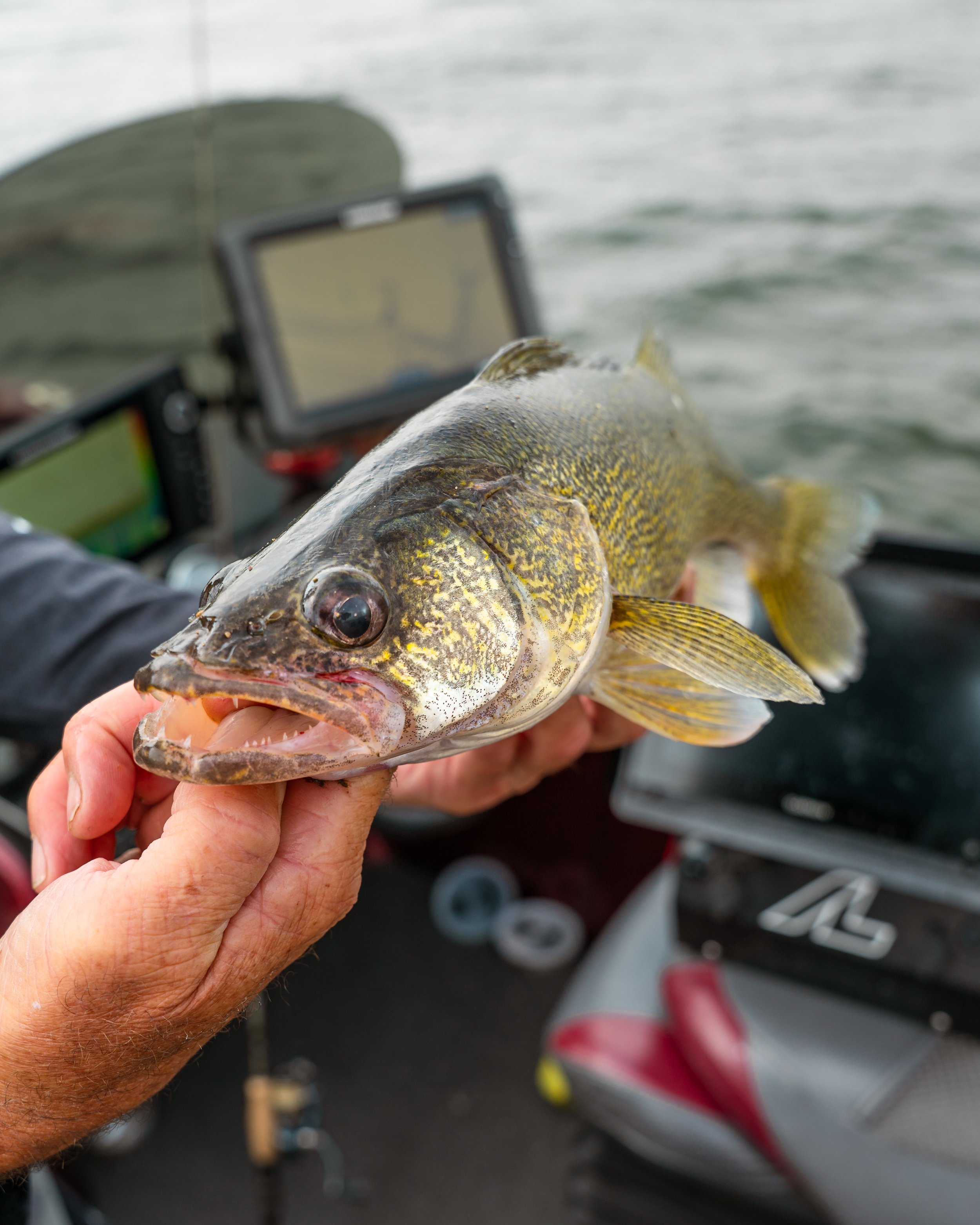 SRPA Day 3 Summerr-9.jpg