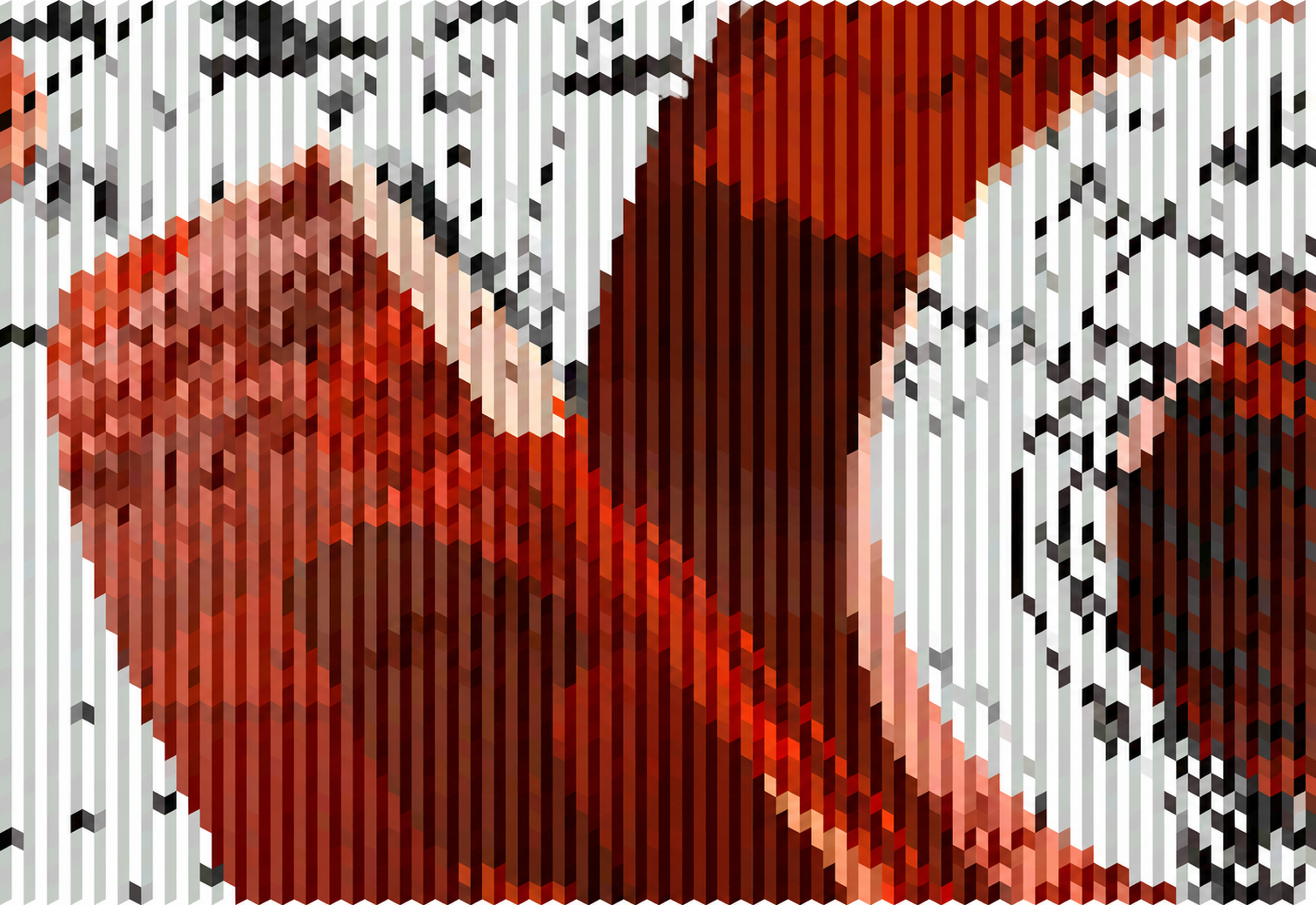 Tutondo graphic communication exploration using pixelated imagery, red color contrast, and visual identity elements for brand storytelling.