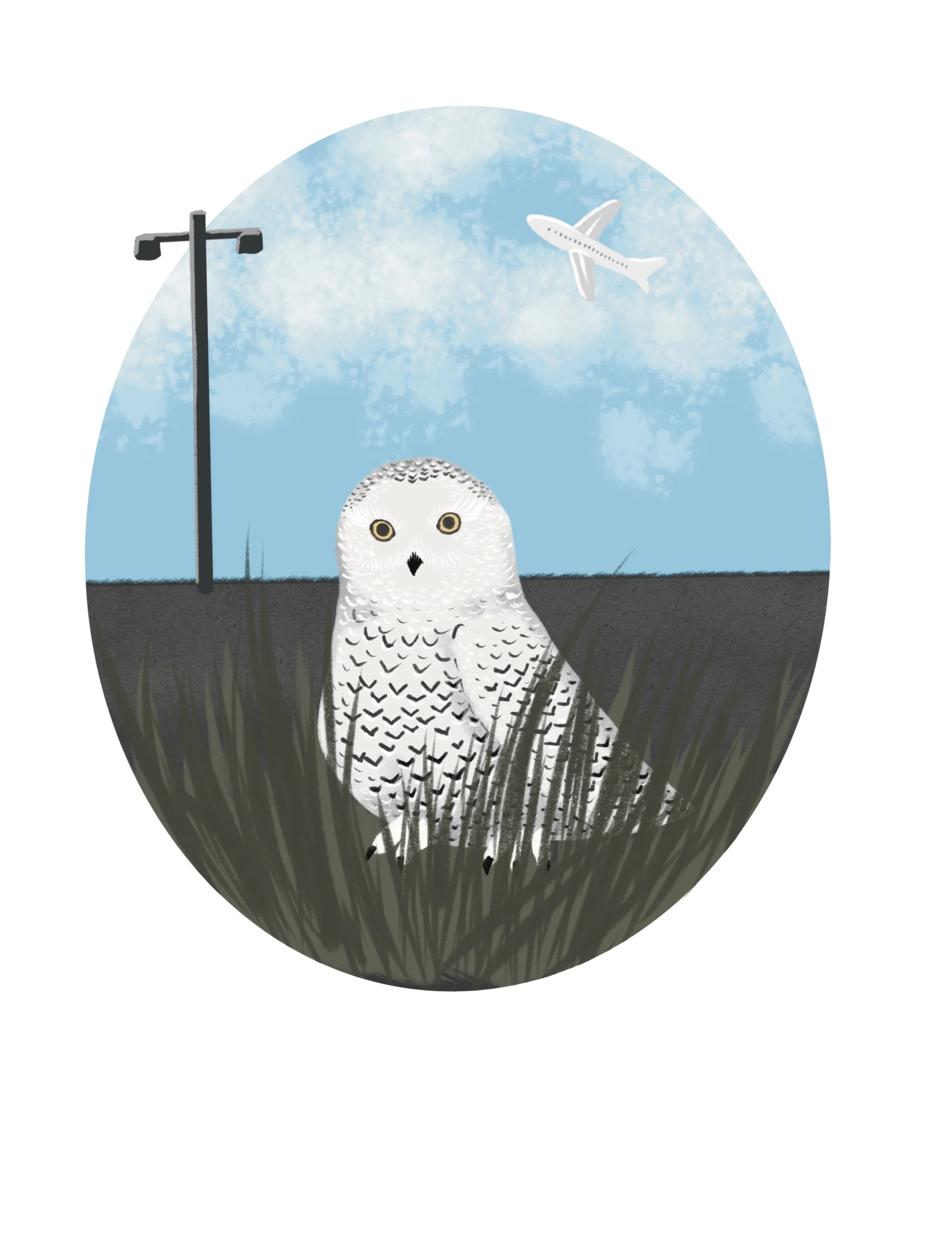 Children’s Book Illustration 7, digital, 2026