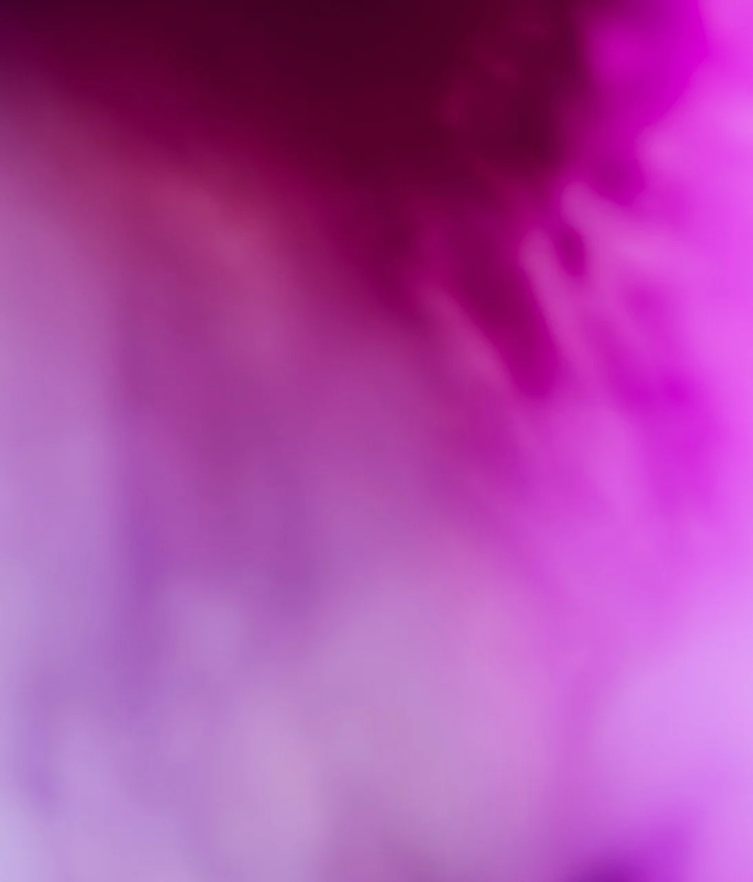 Groß (Pink_LukasSchwan).jpeg